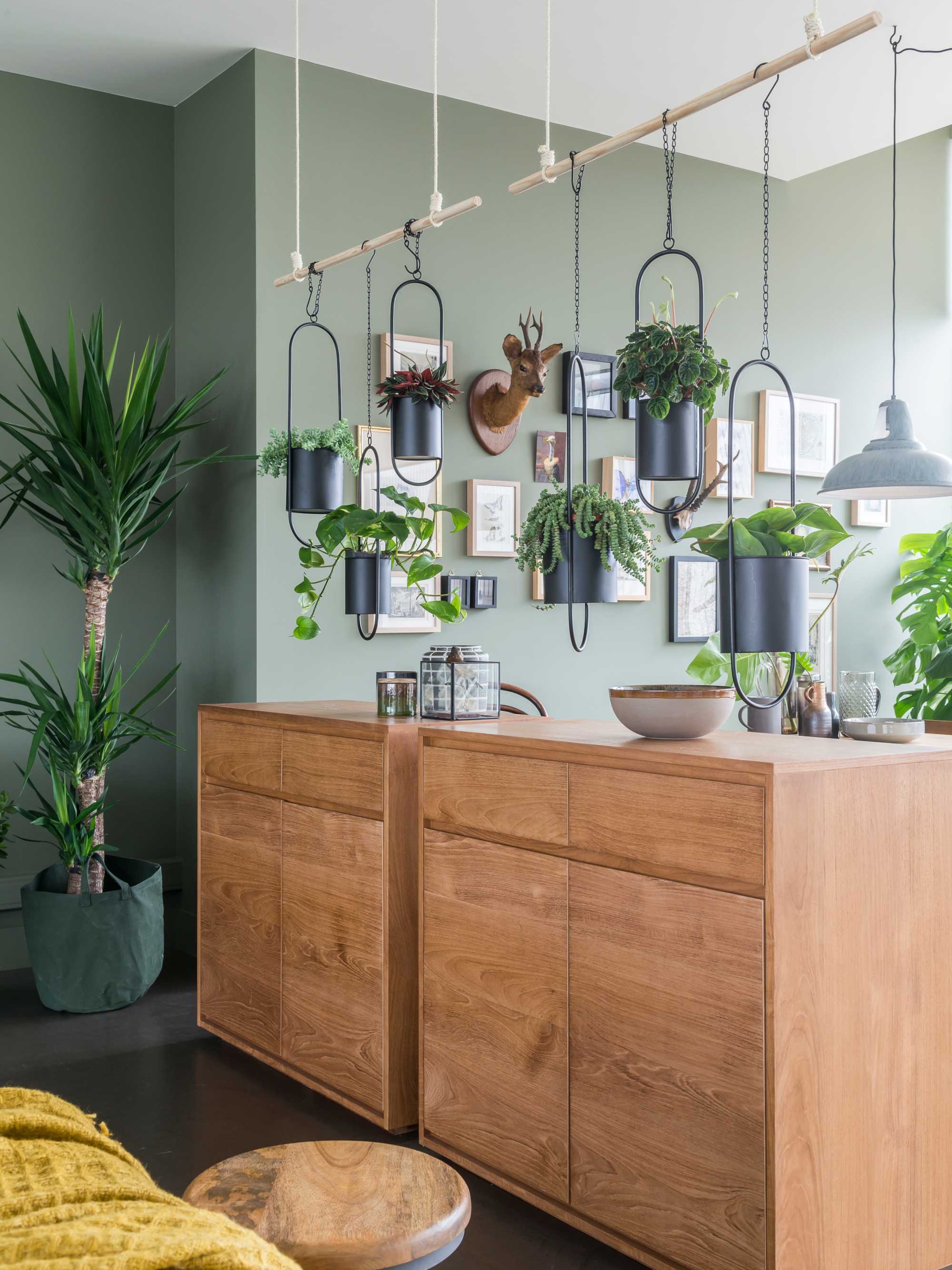 diy hangende plantentuin