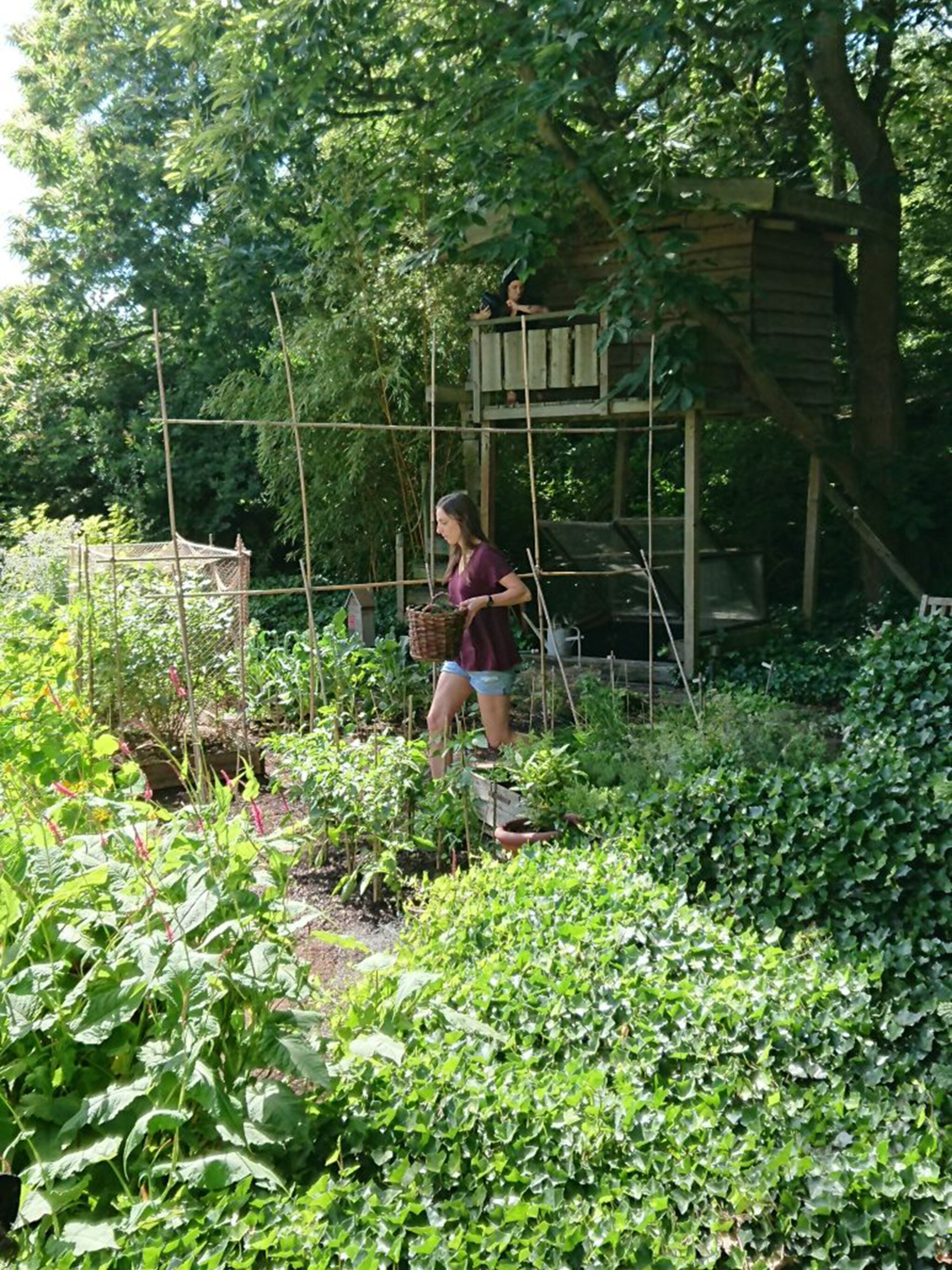 4 onderhoudstips voor de zomermoestuin