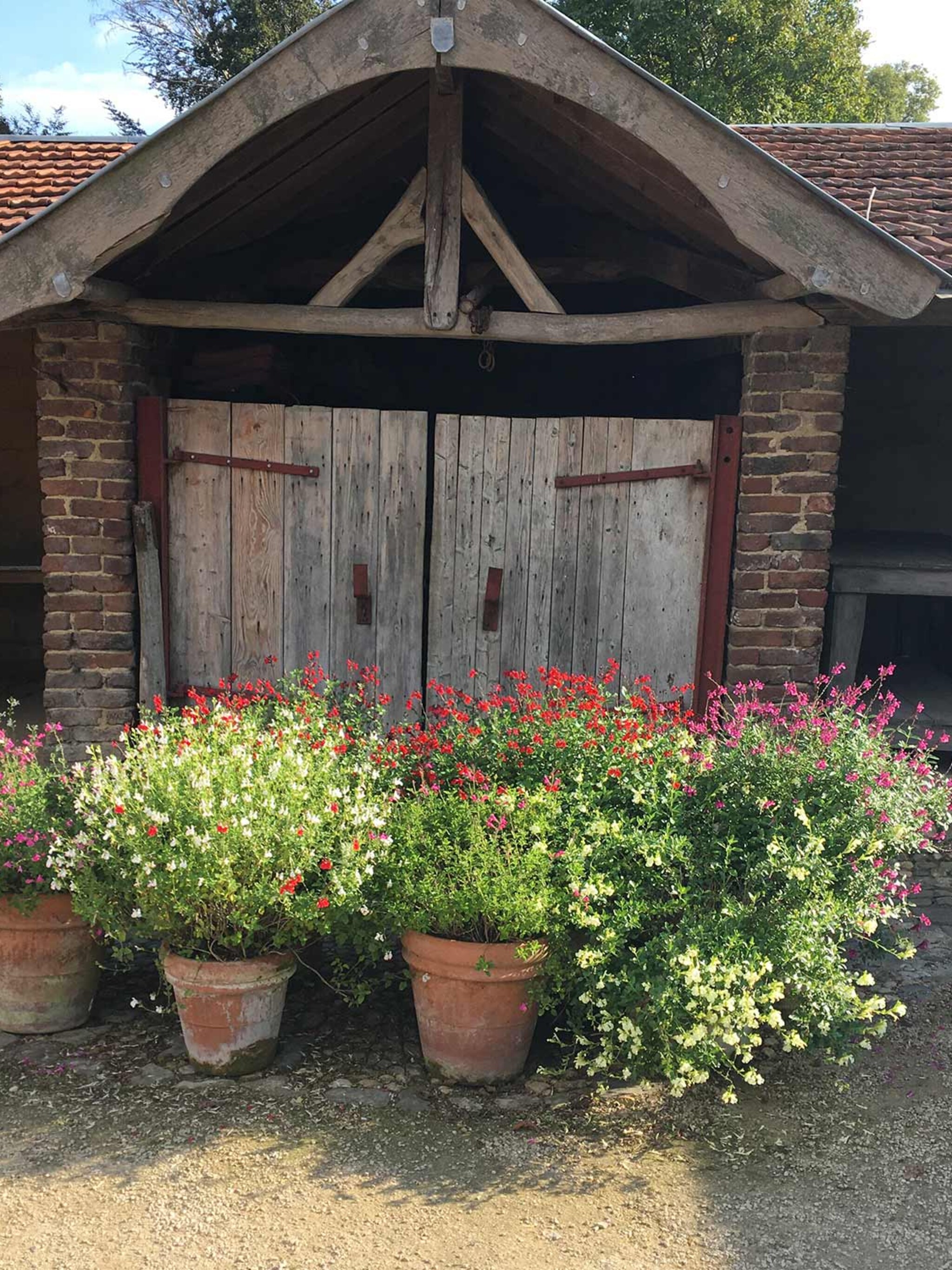 de provence bij onze noorderburen