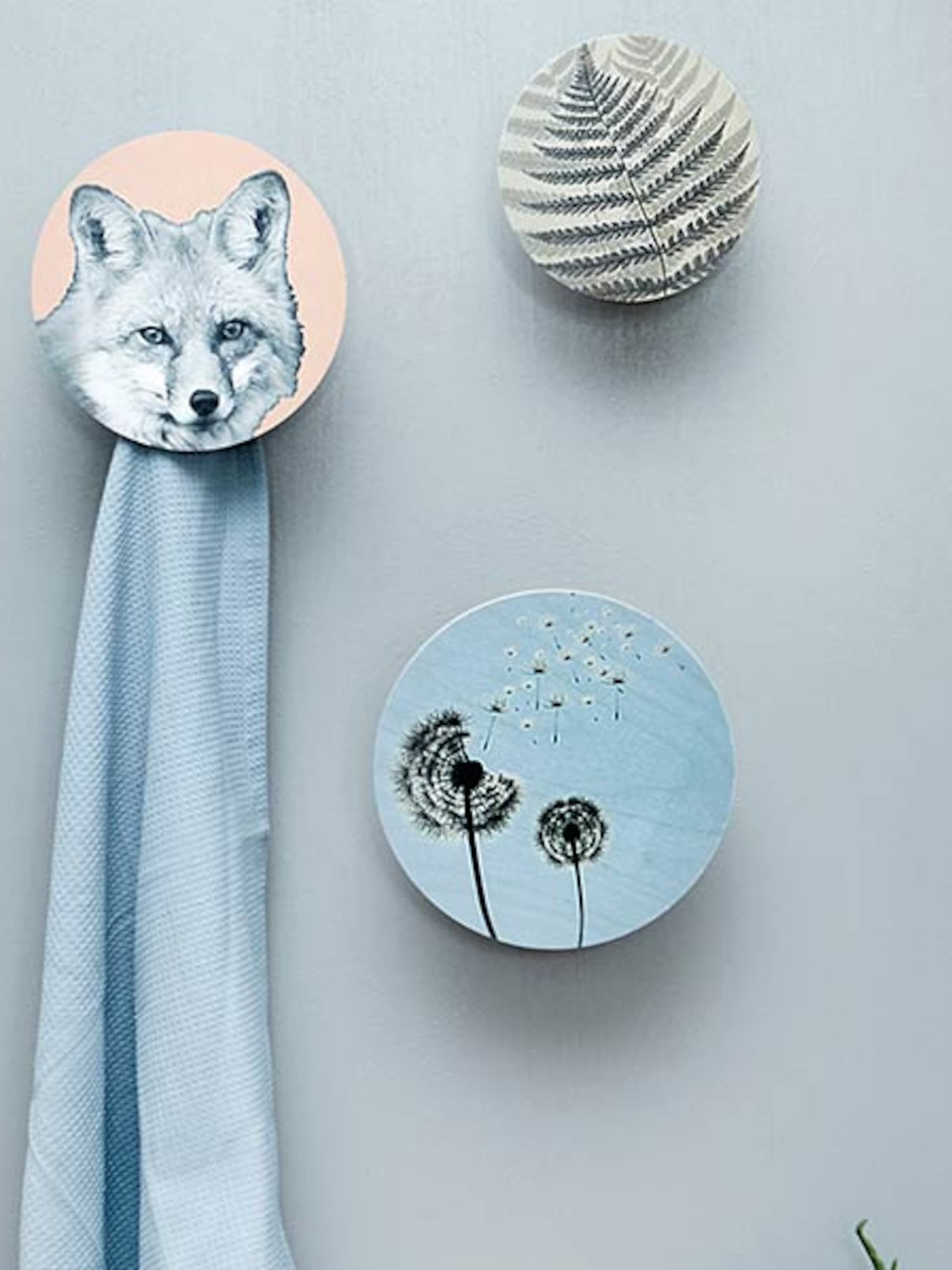 pick of the week wandhaken van dims