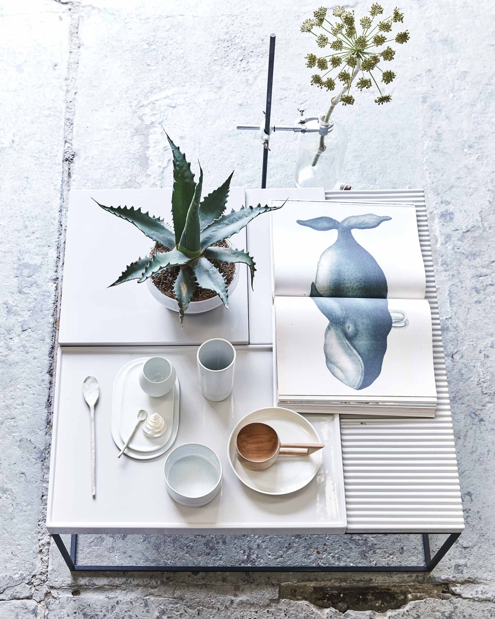Cilindervaas nude medium, lagere schaal nude, lange lepel, kleine lepel, bord (). Ovale schaal, thermische beker (). Houten beker met oor (). Schelp (). Boek van John Derian (). Glazen schaal met plant afkomstig uit een set van 3 uit de PS 2017 collectie, enkel in Nederland (). Vierkante salontafel Terrace cloud white (). Labstandaard met klem, labfles ().