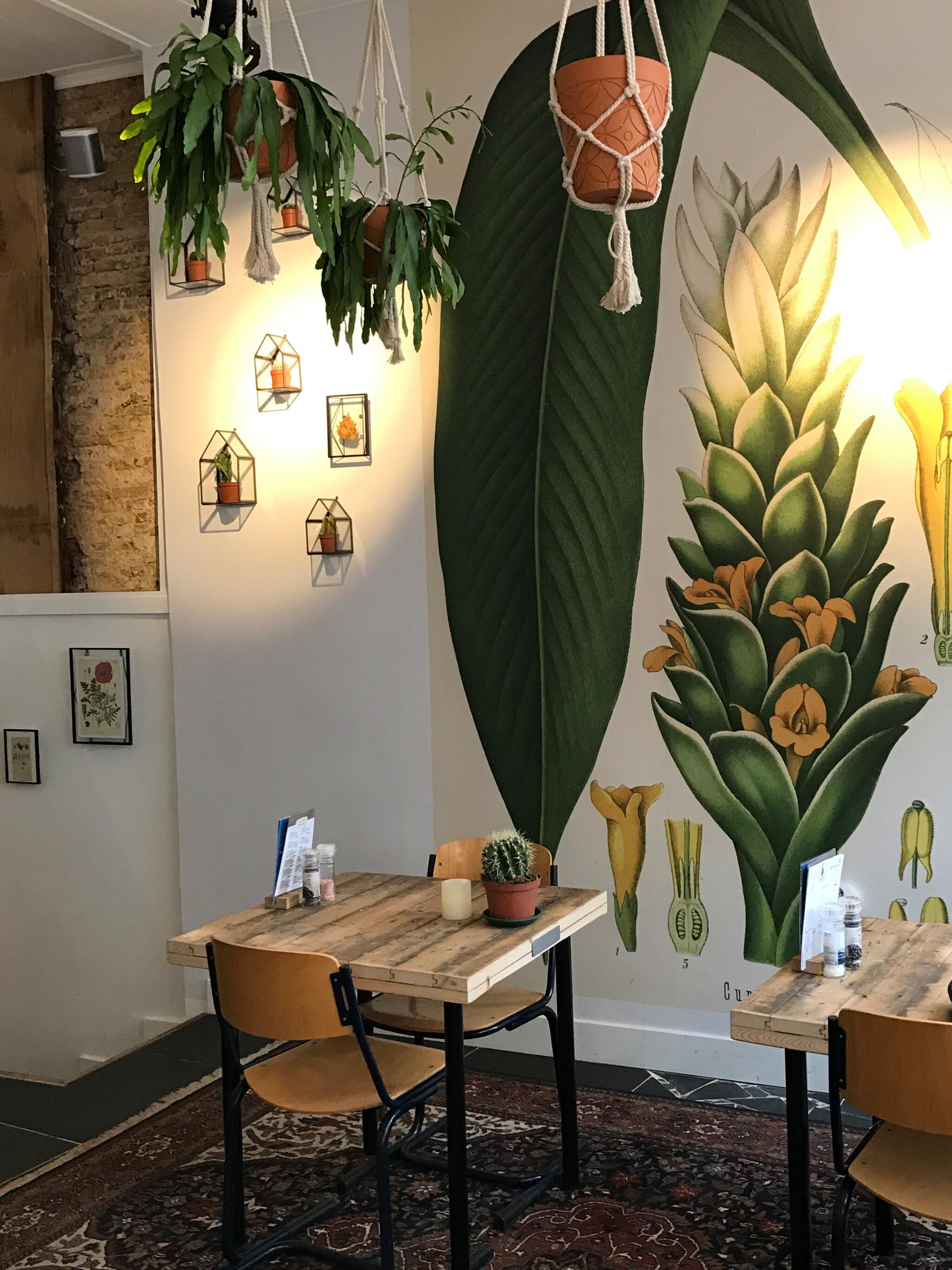 hotspot lunchcafe curcuma in gouda