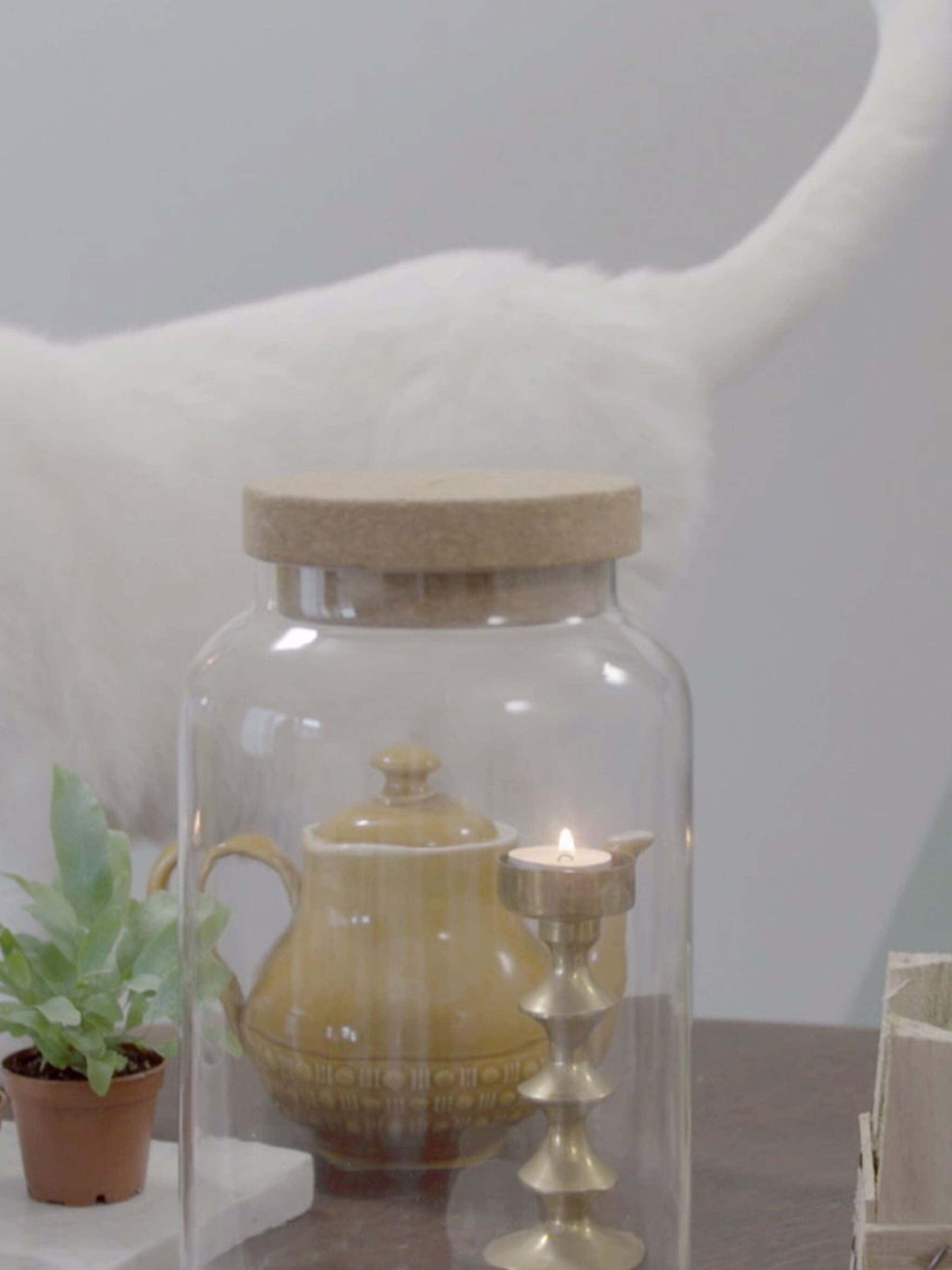diy terrarium in een pot