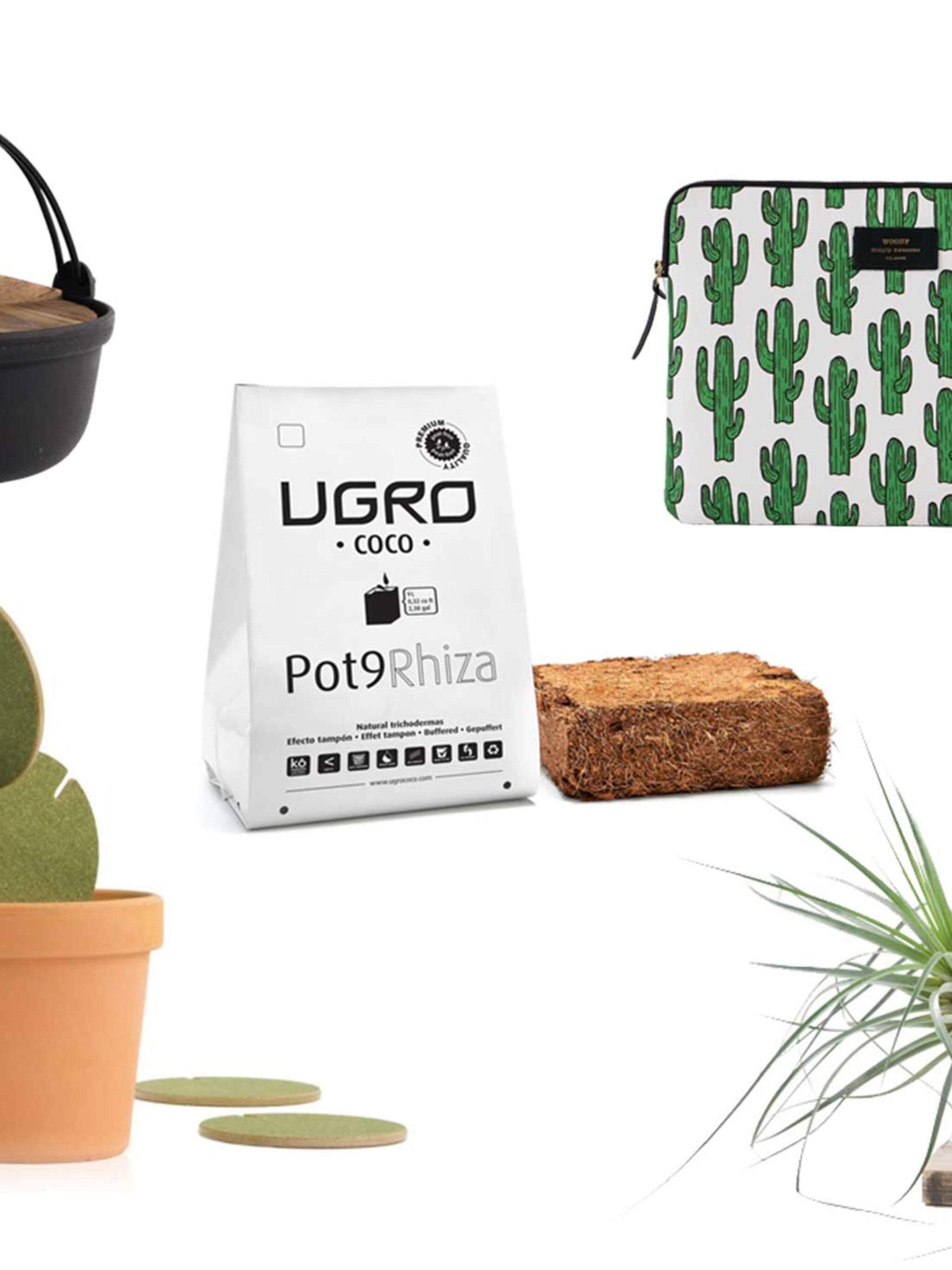 10x groene musthaves