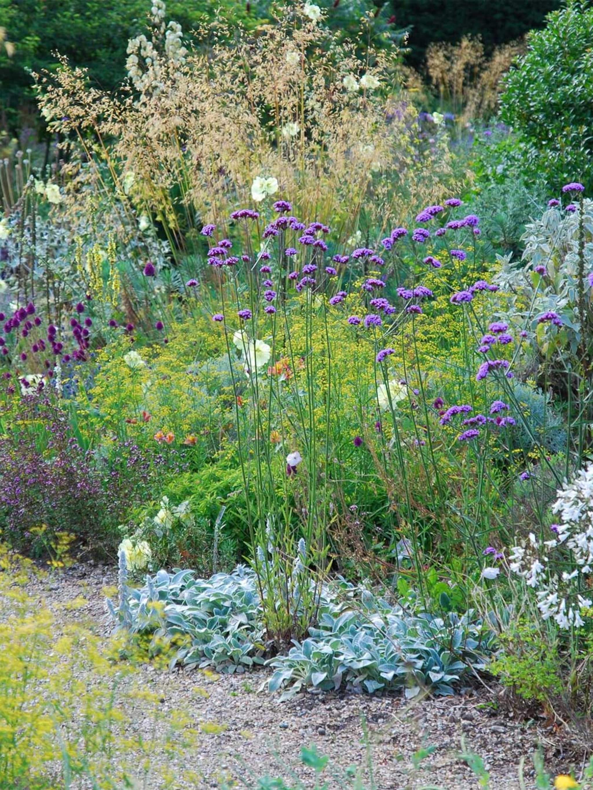 vakantieproof beplanting