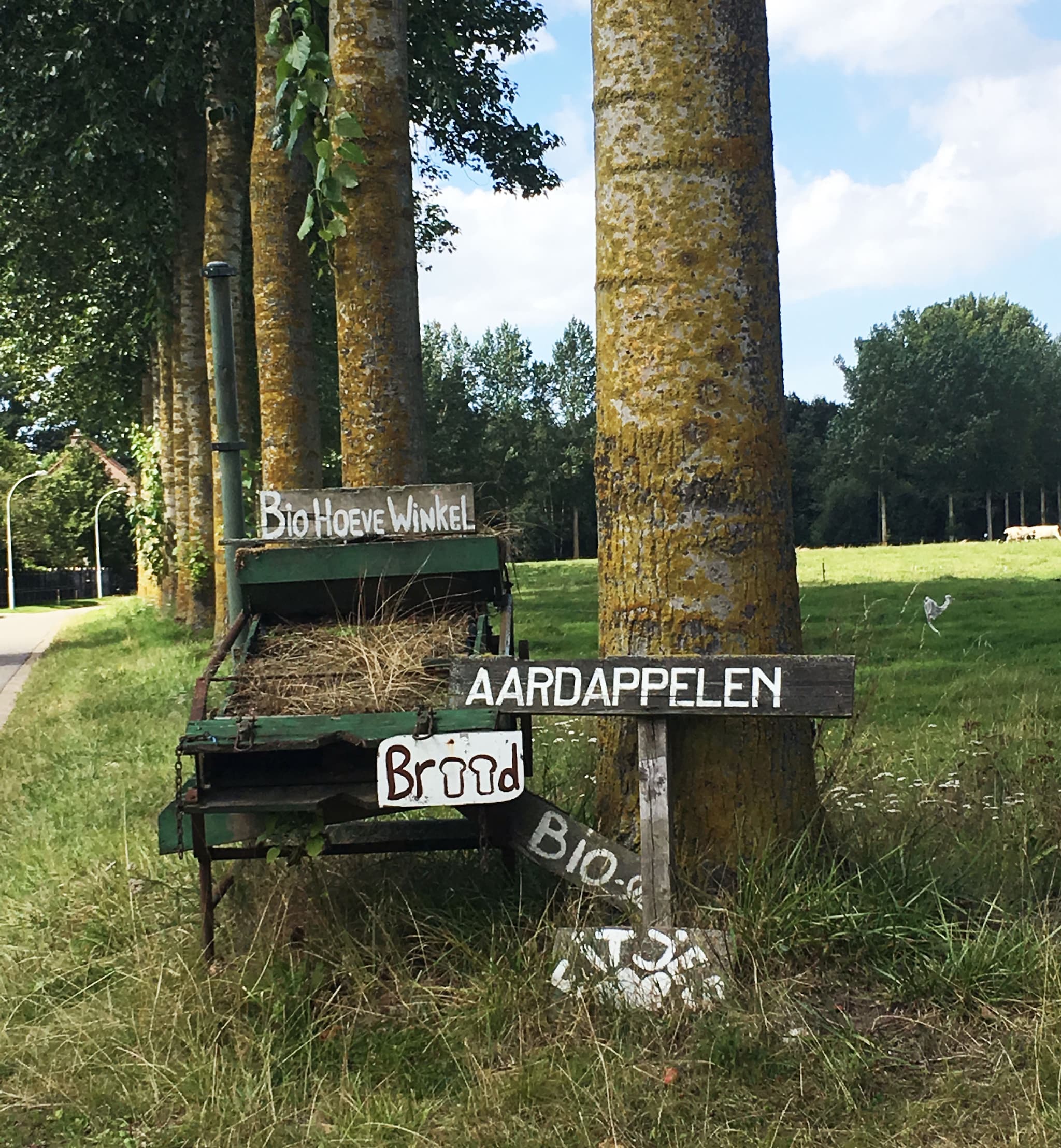 beeld vtwonen