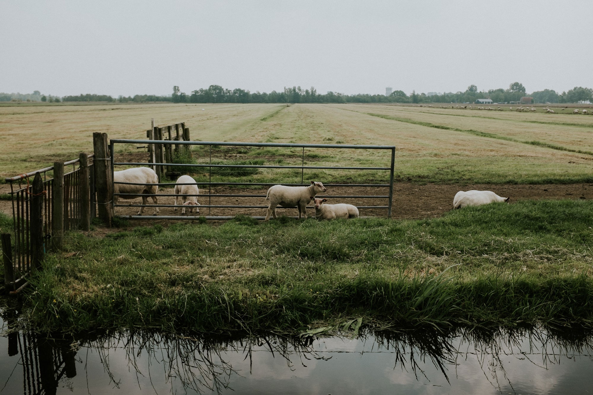 beeld vtwonen