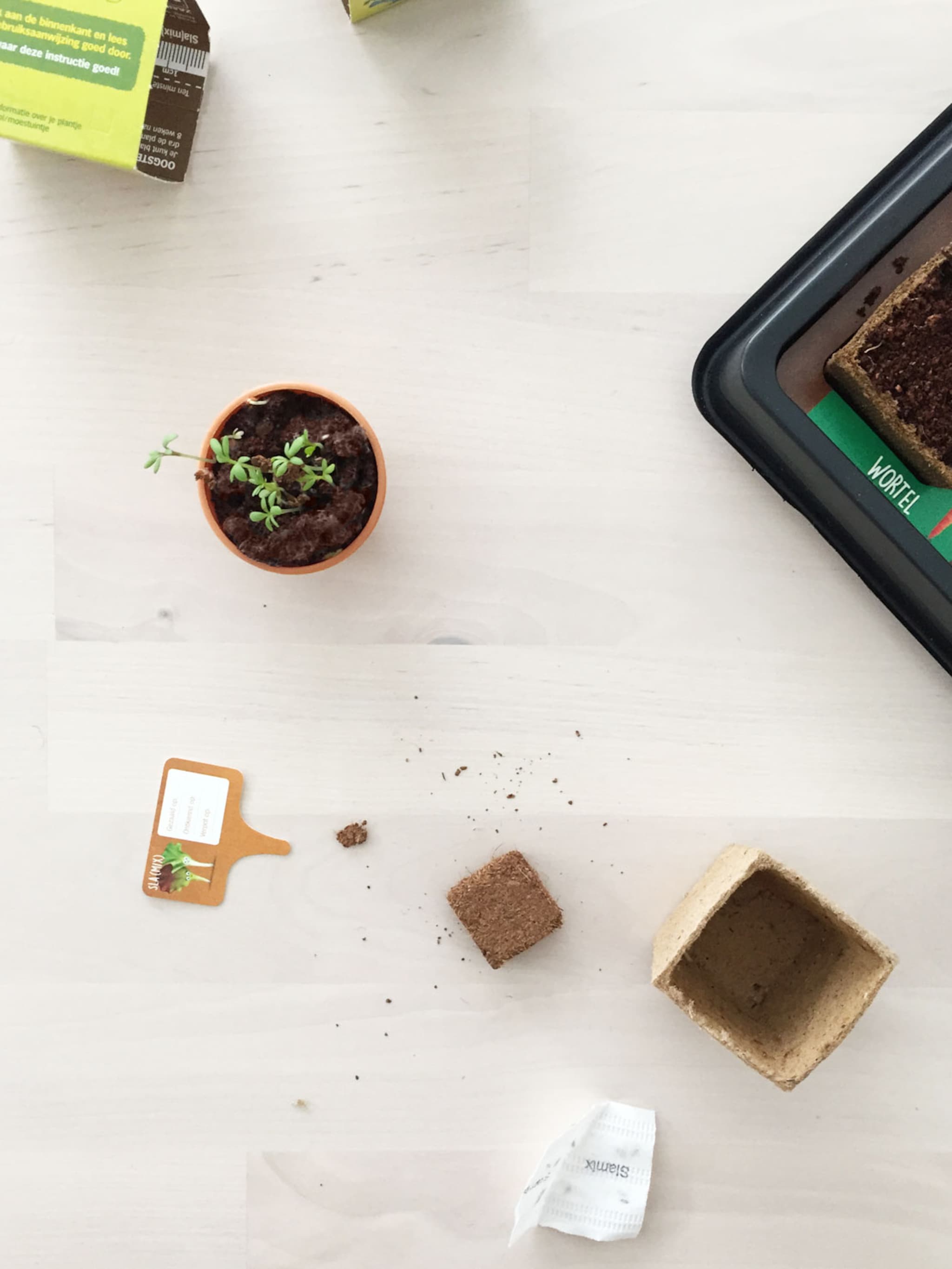 7x tips voor een succesvolle minimoestuin