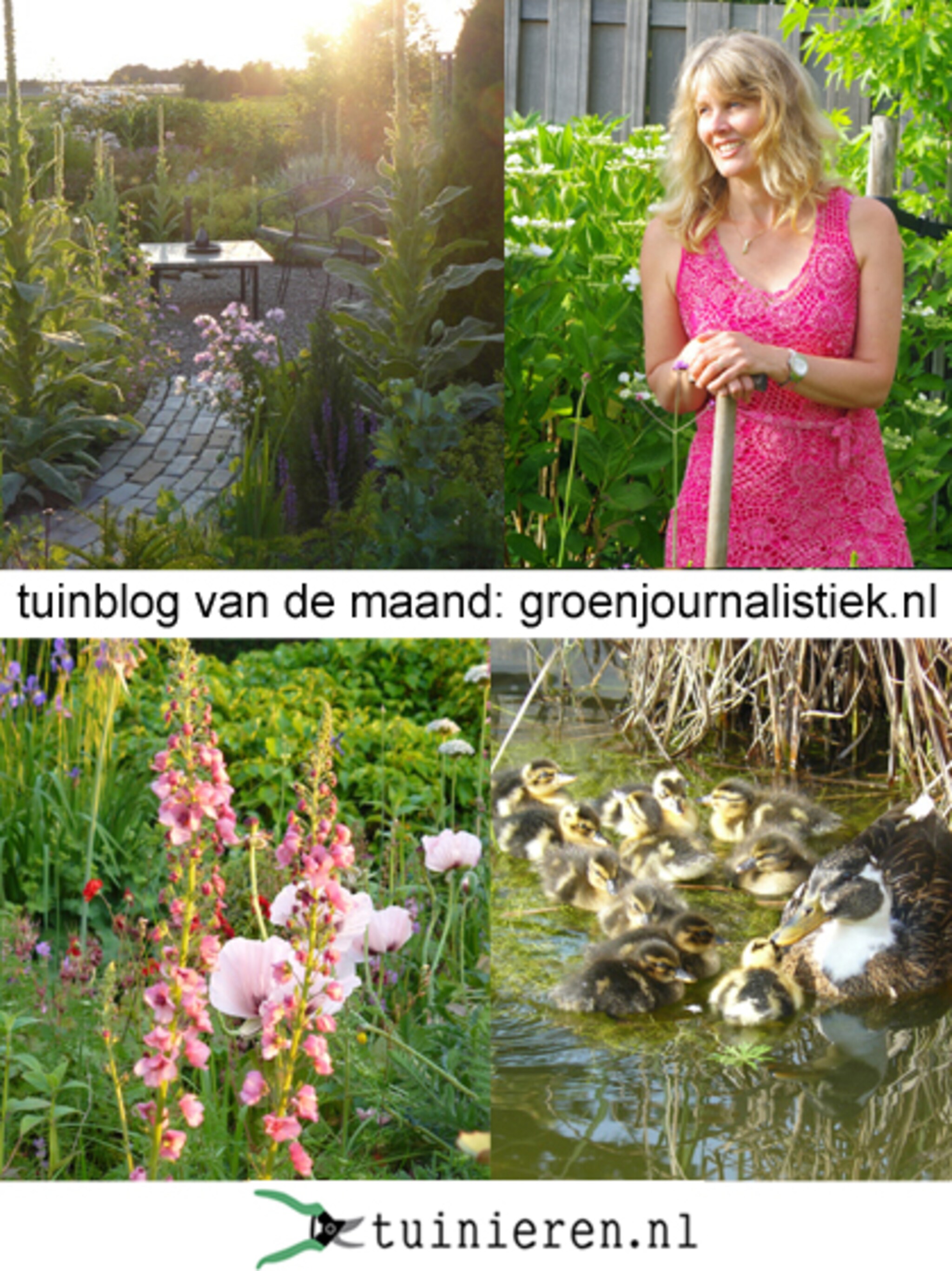 blog v d maand groenjournalistiek