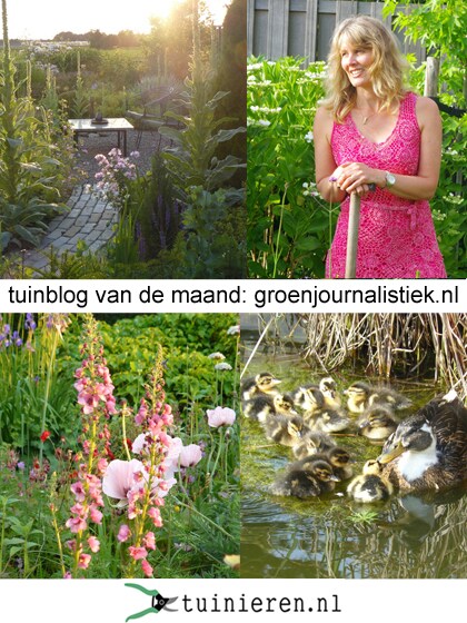 beeld vtwonen