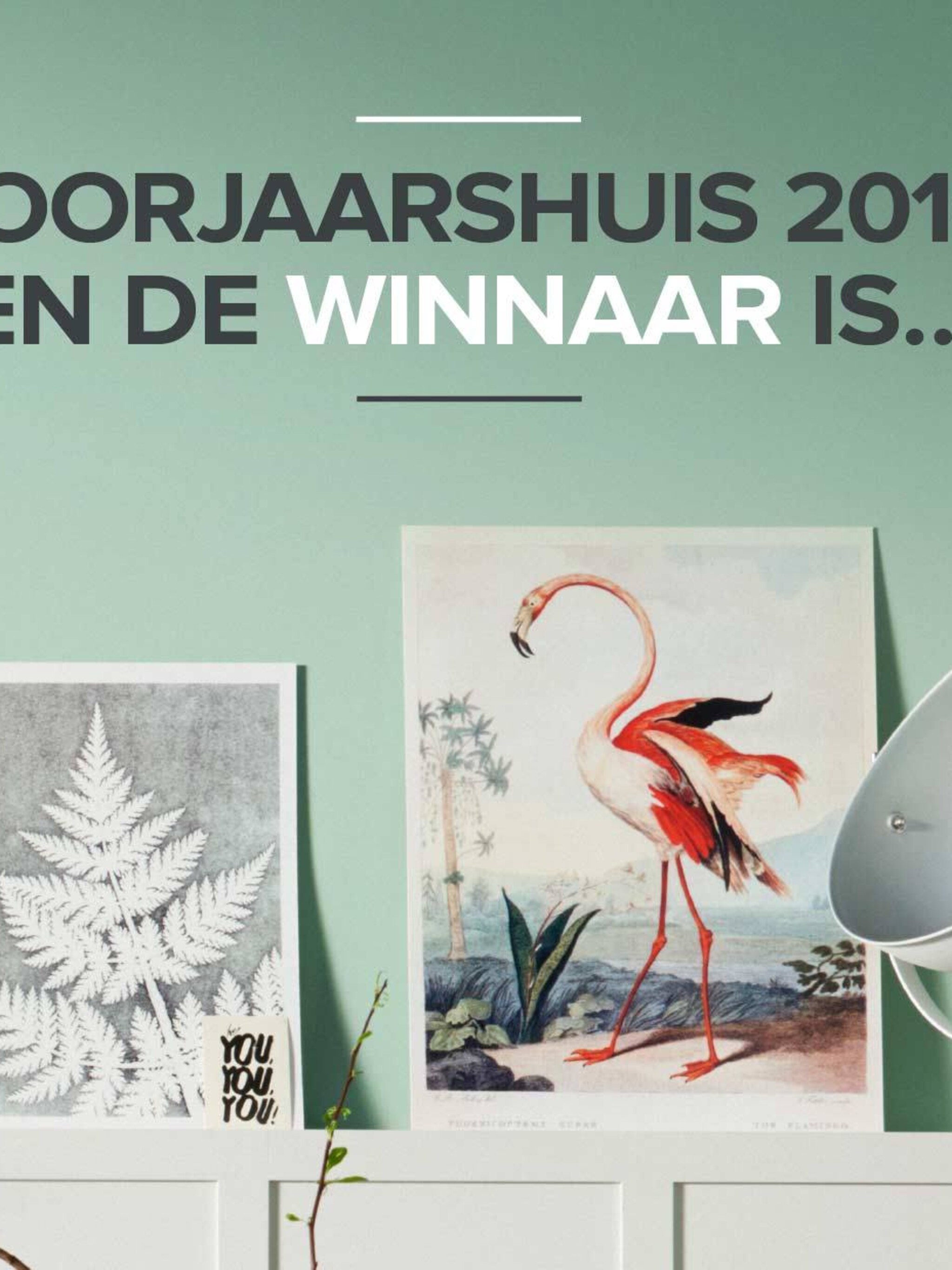 winnaar vtwonen voorjaarshuis 2016