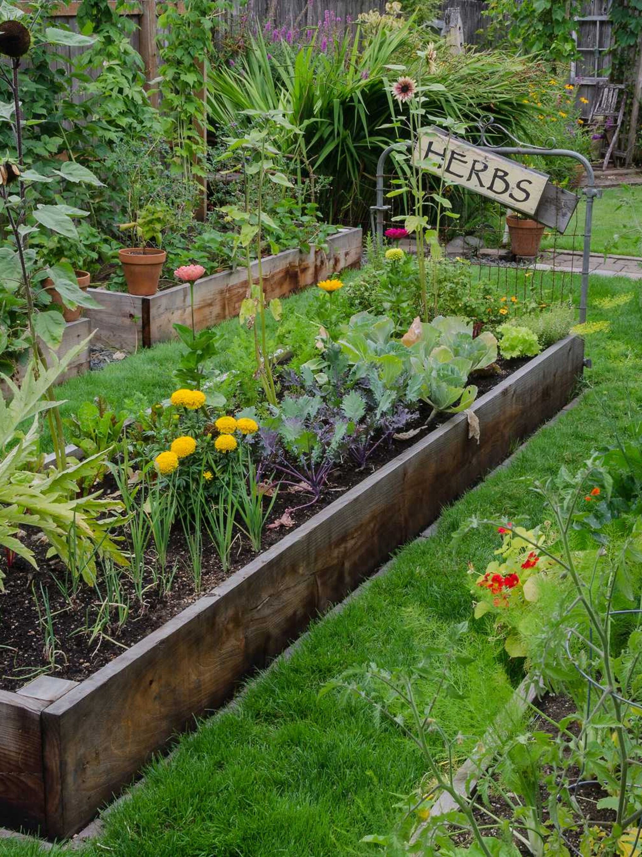 companion planting of combinatieteelt