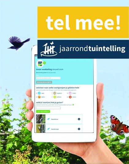 beeld vtwonen