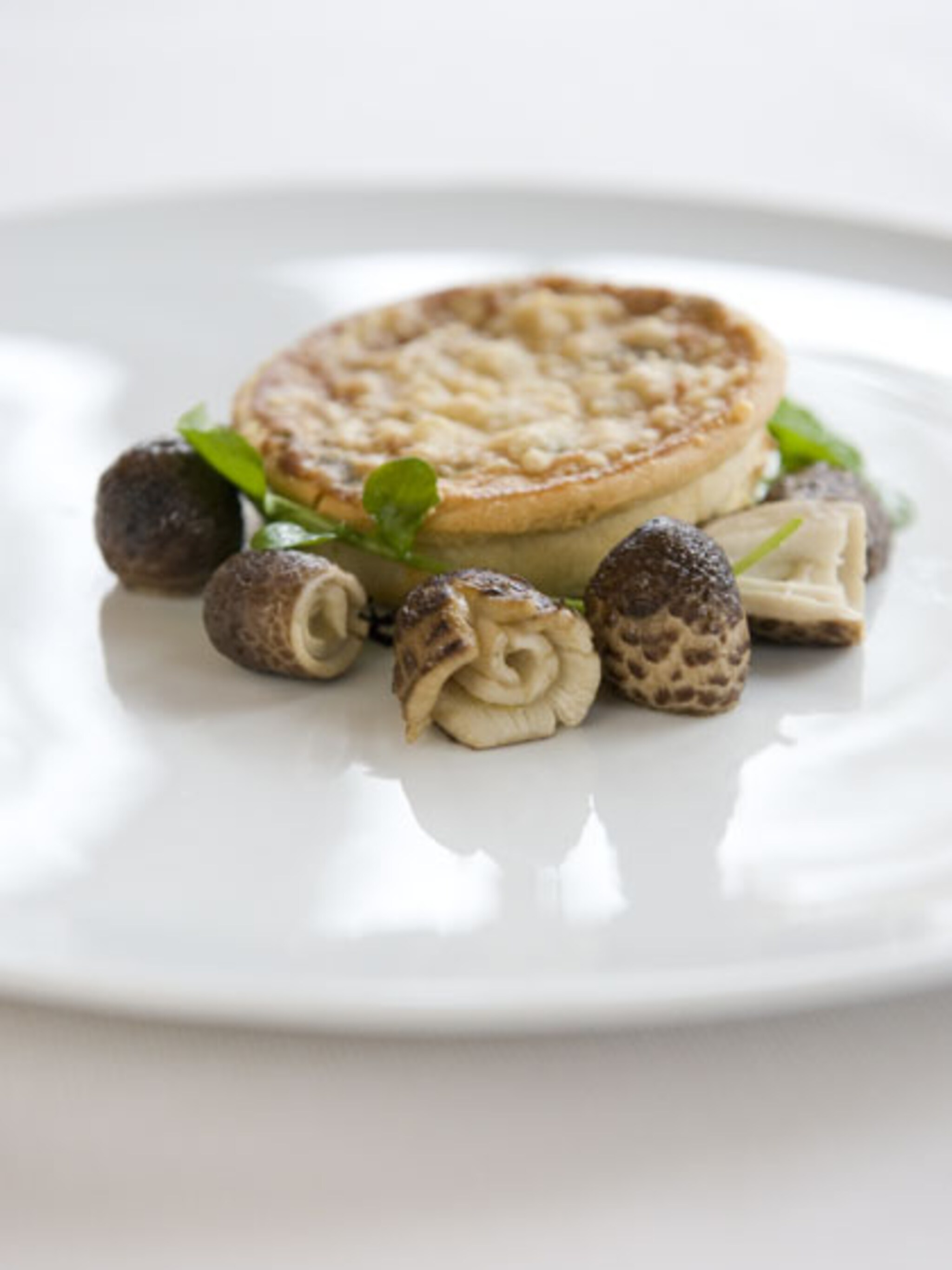 recept quiche met zwammen