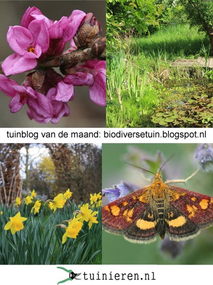 beeld vtwonen