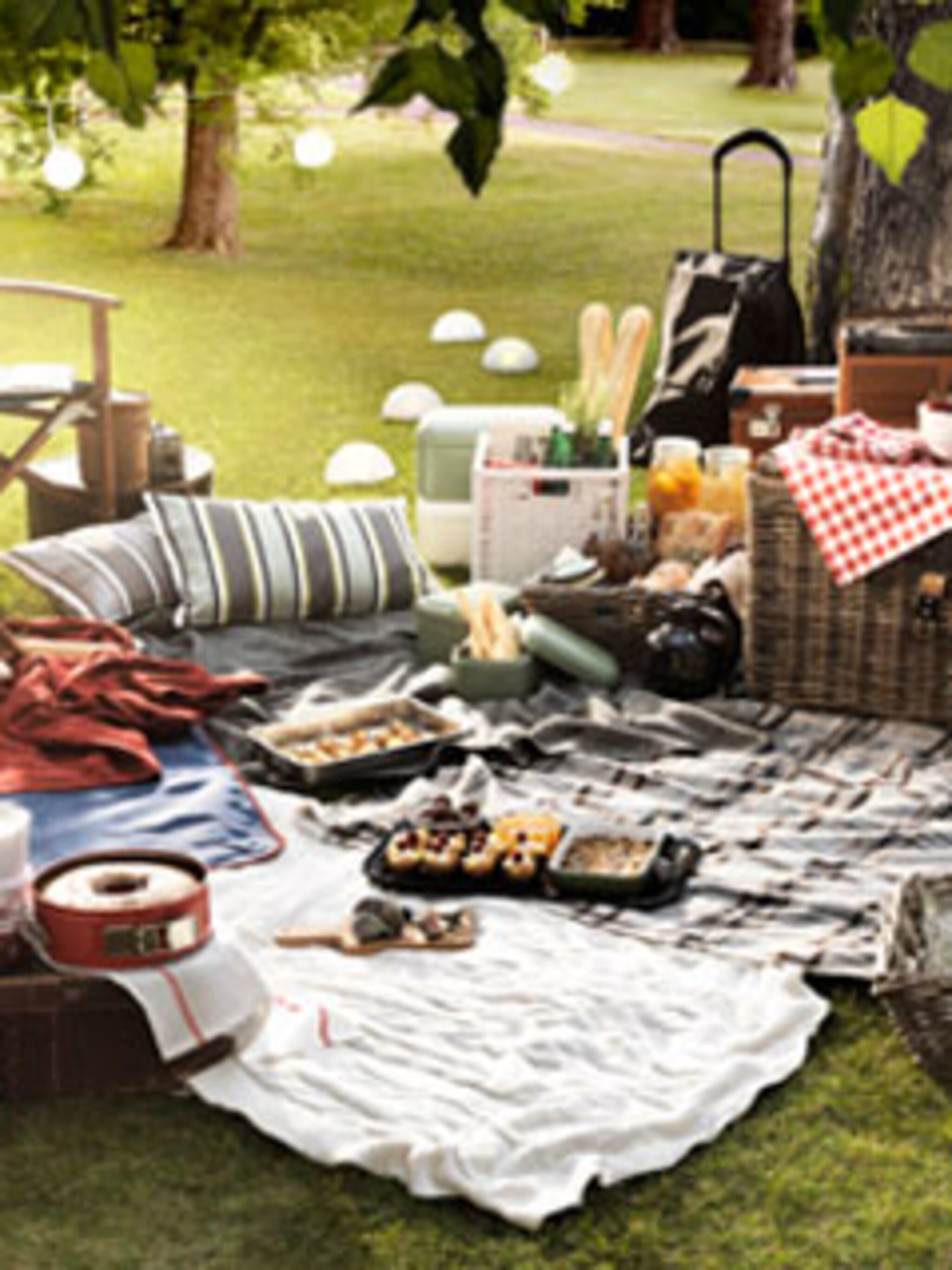 een zomerse picknick