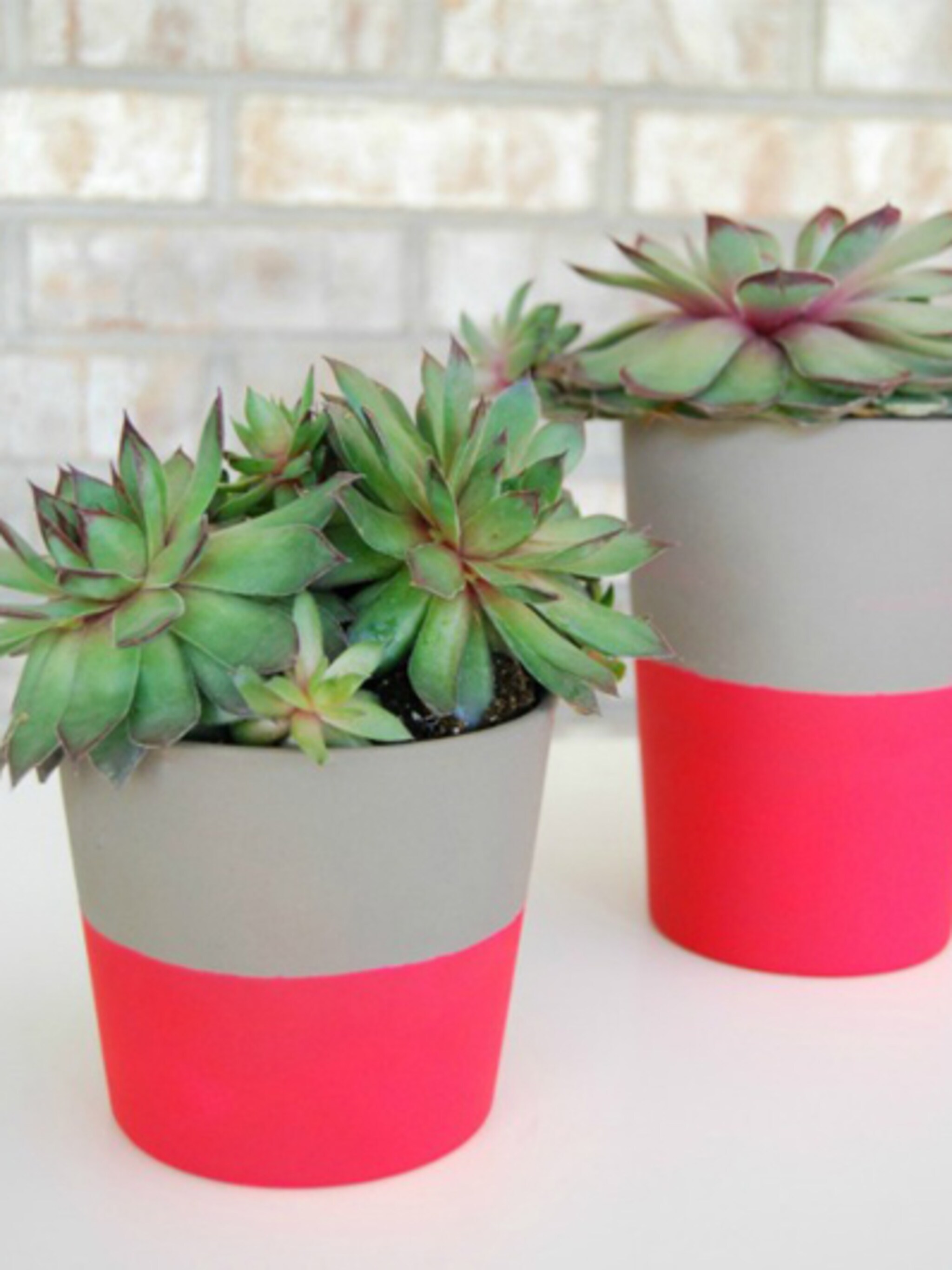diy neon potten