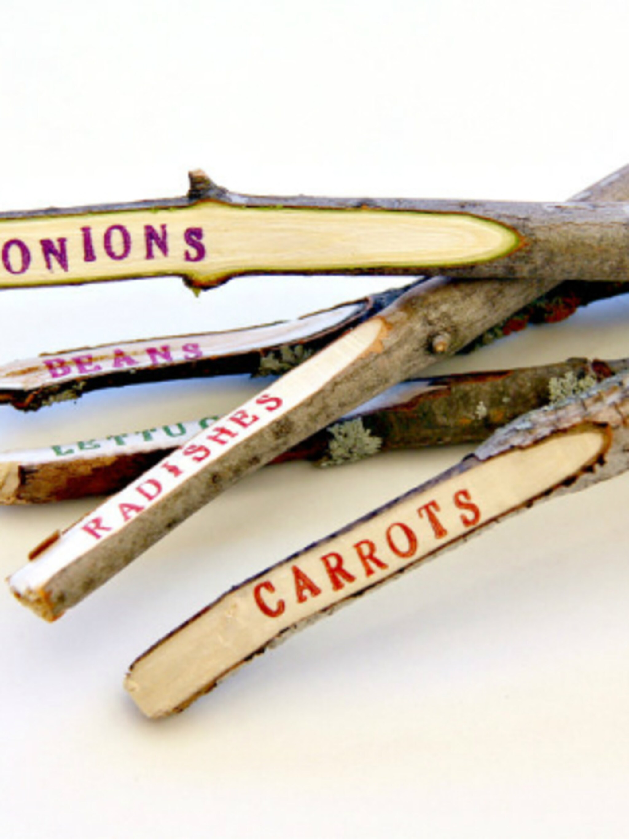 plantlabels van takjes