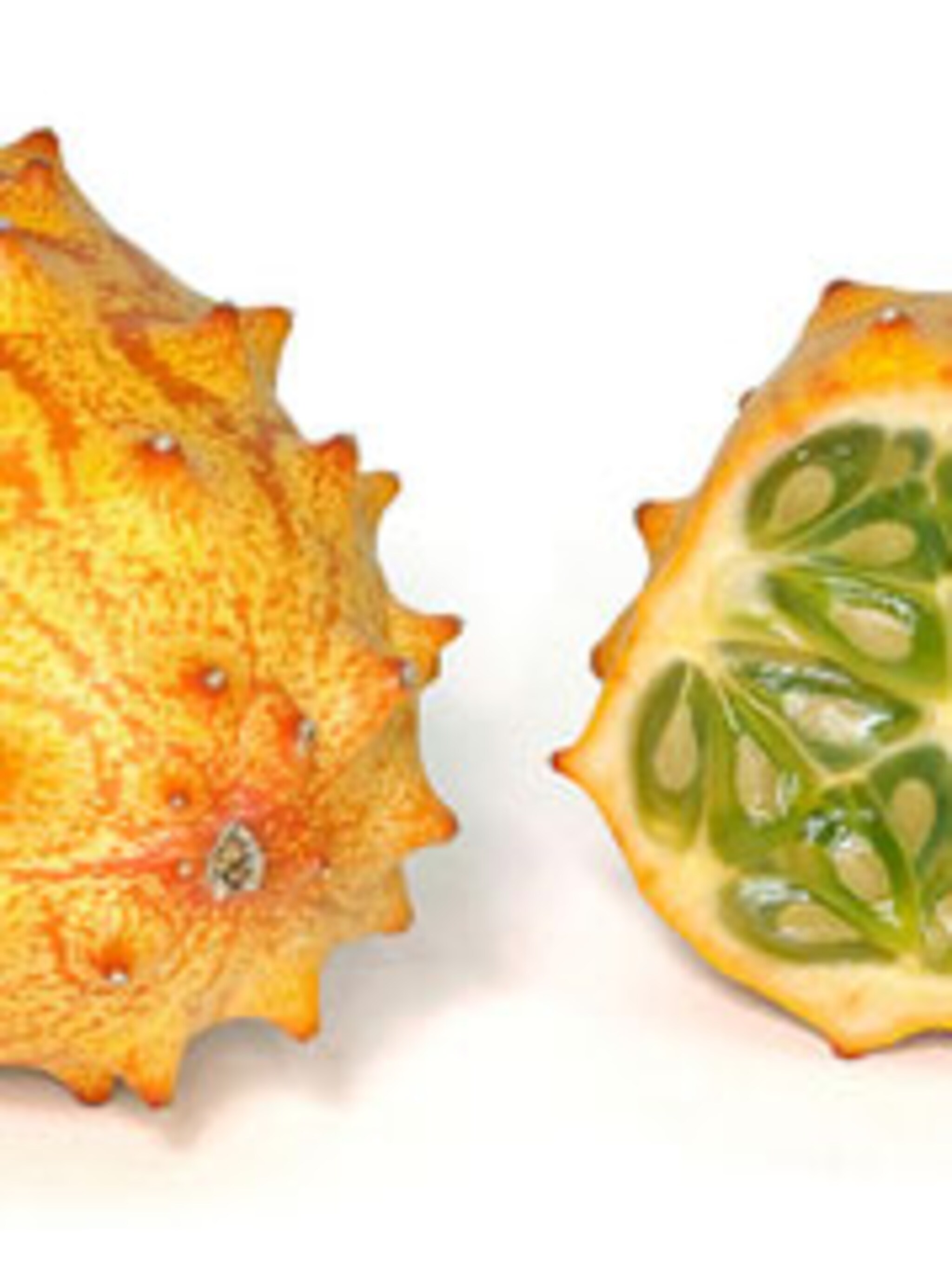 kantoorplanten