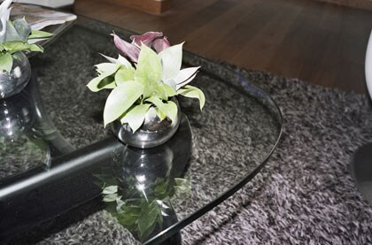 beeld vtwonen