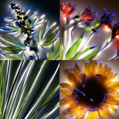 Elektrische planten
