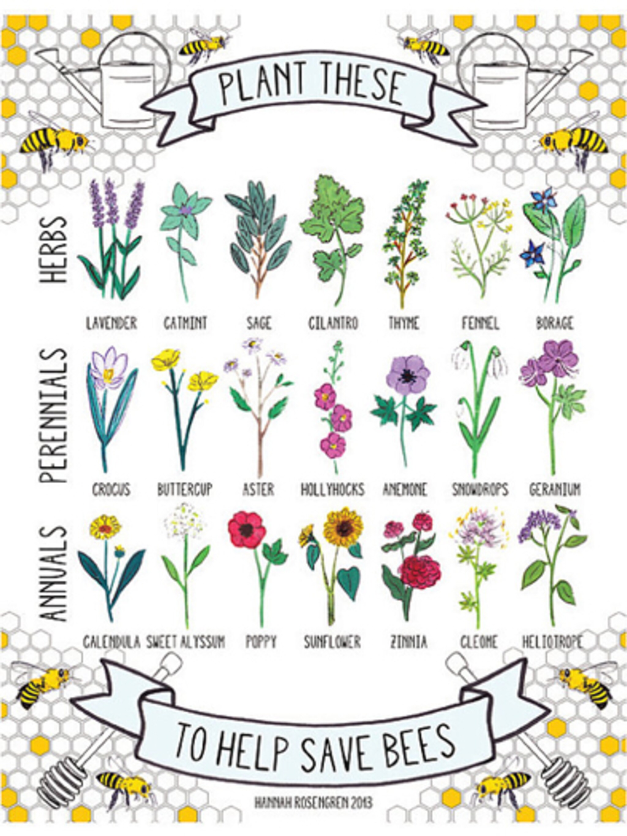 planten-voor-bijen