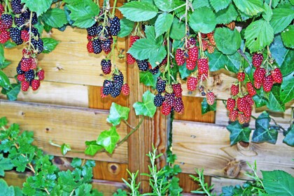 beeld vtwonen