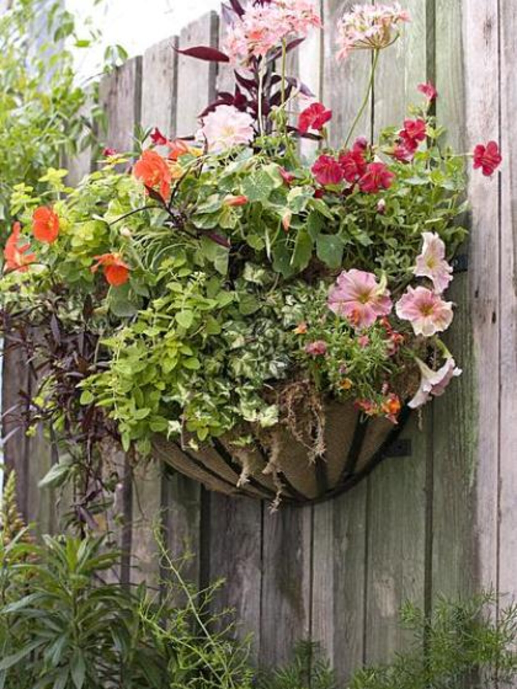 hanging basket maken