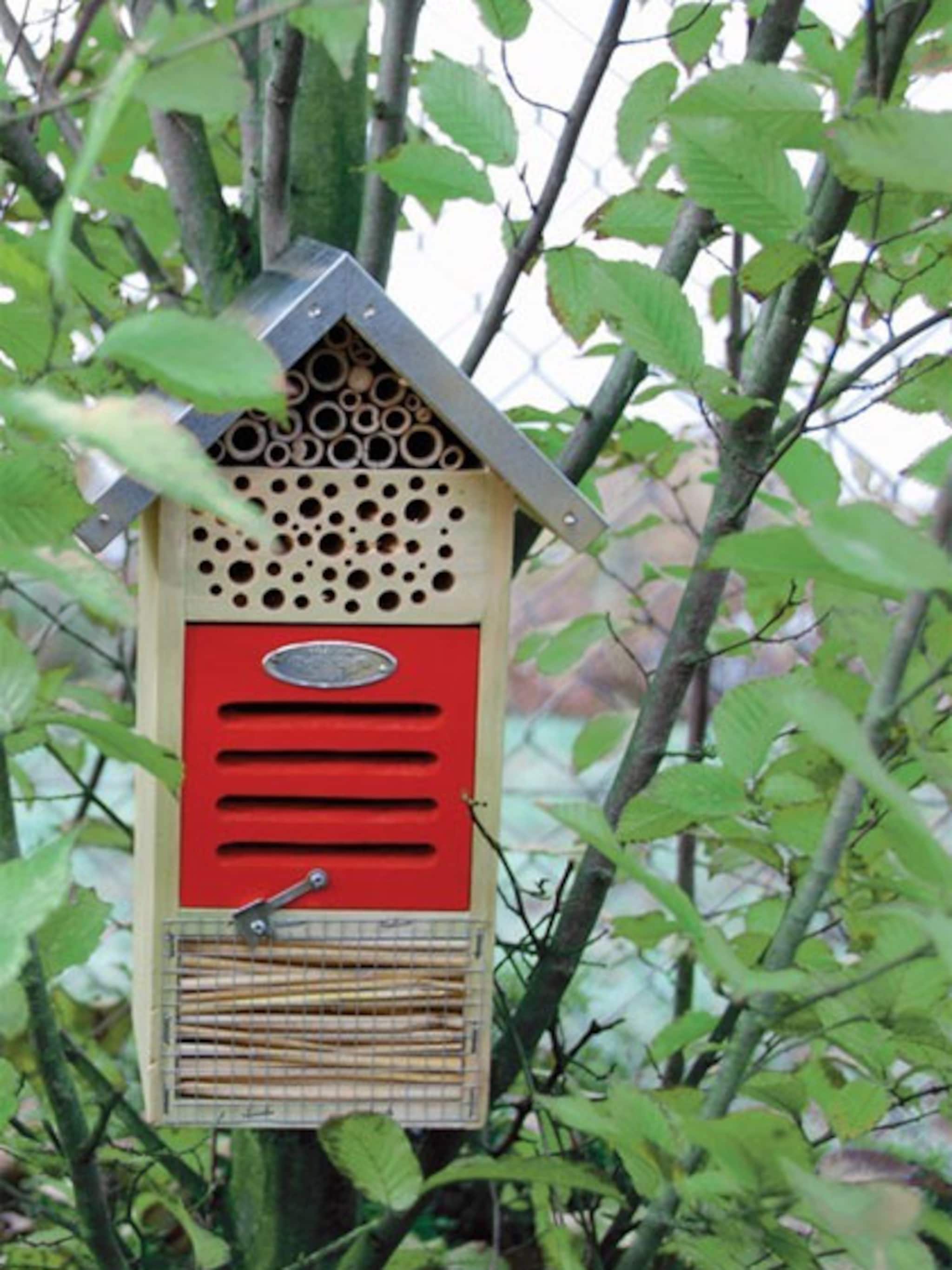 insectenhotel schuilplaats voor insecten