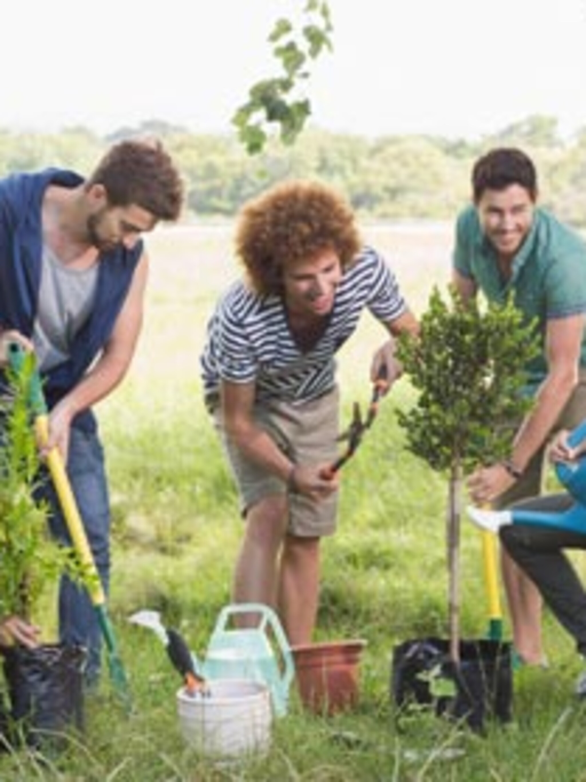 groen initiatief hovenier helpt