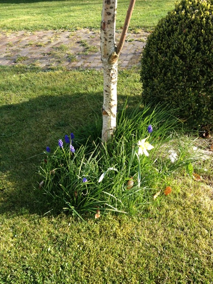 beeld vtwonen