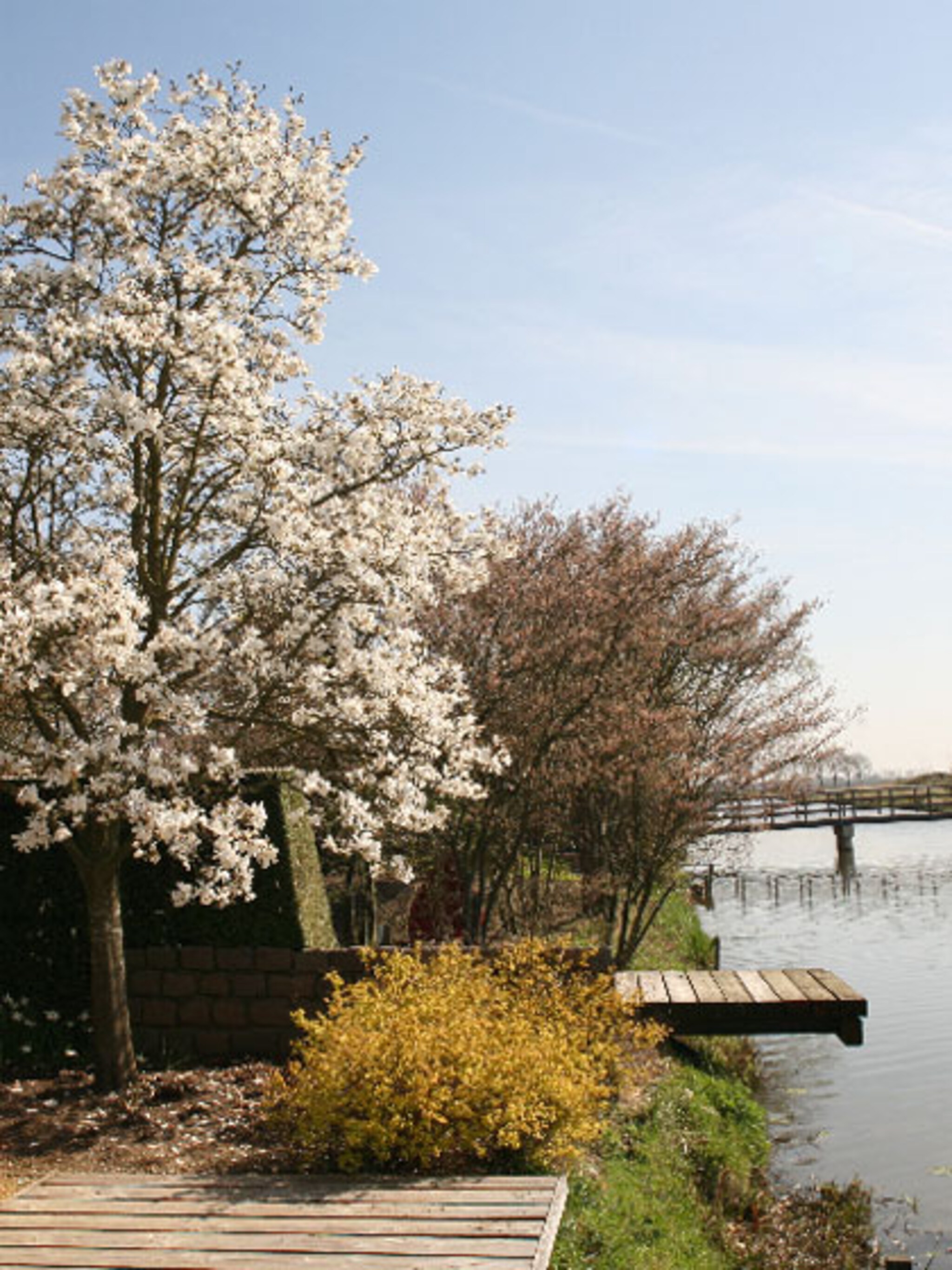 het vergeten tuinseizoen