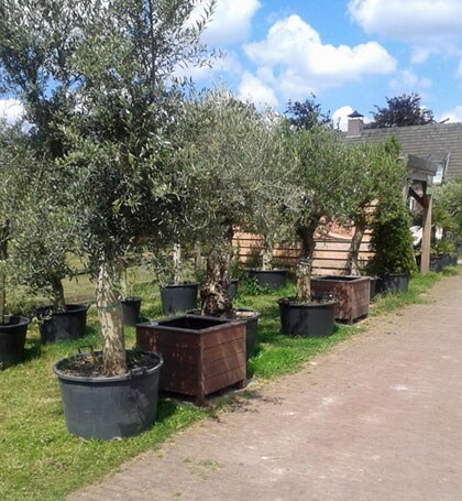 beeld vtwonen