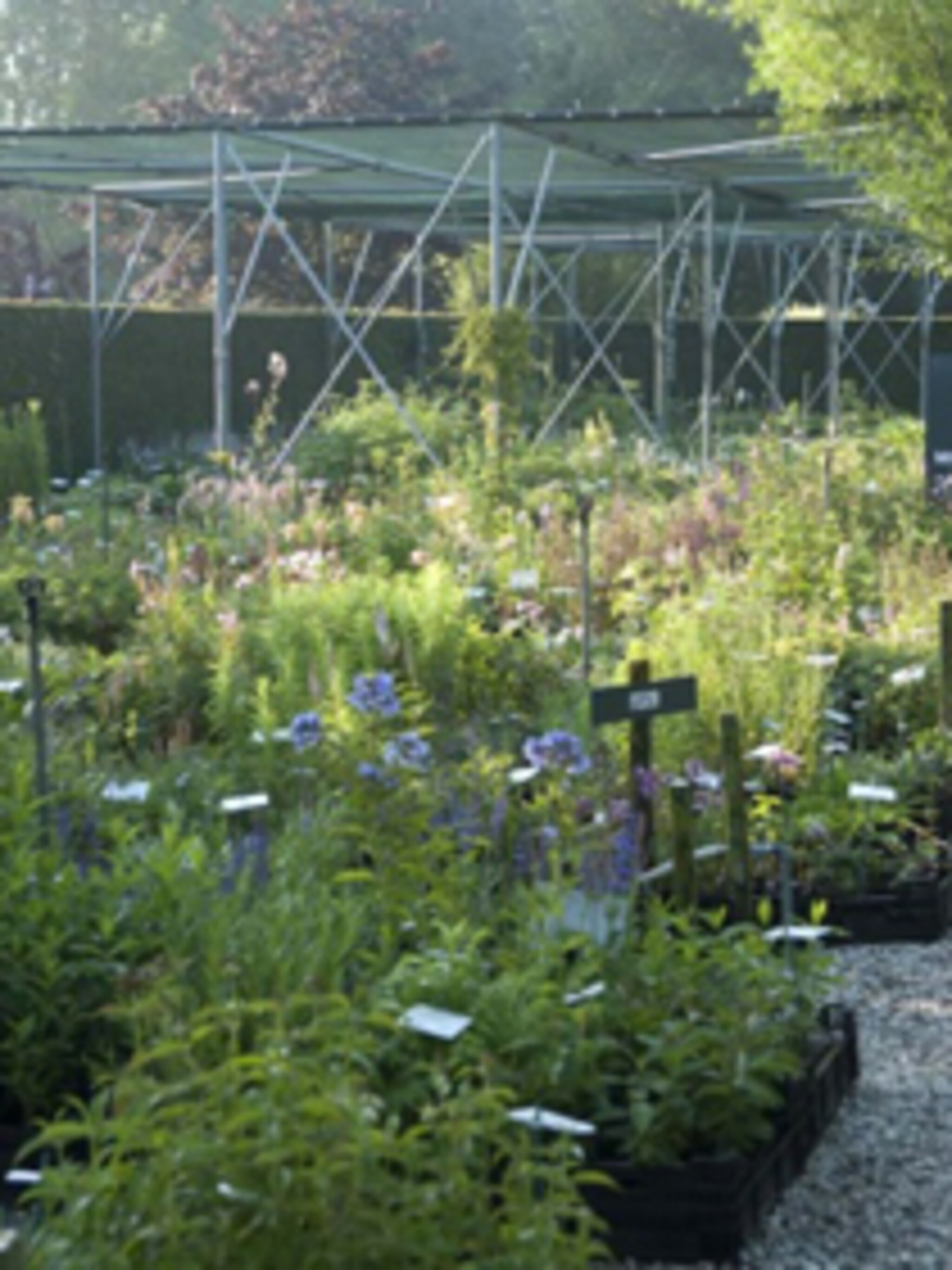 5 6 mei de kleine plantage