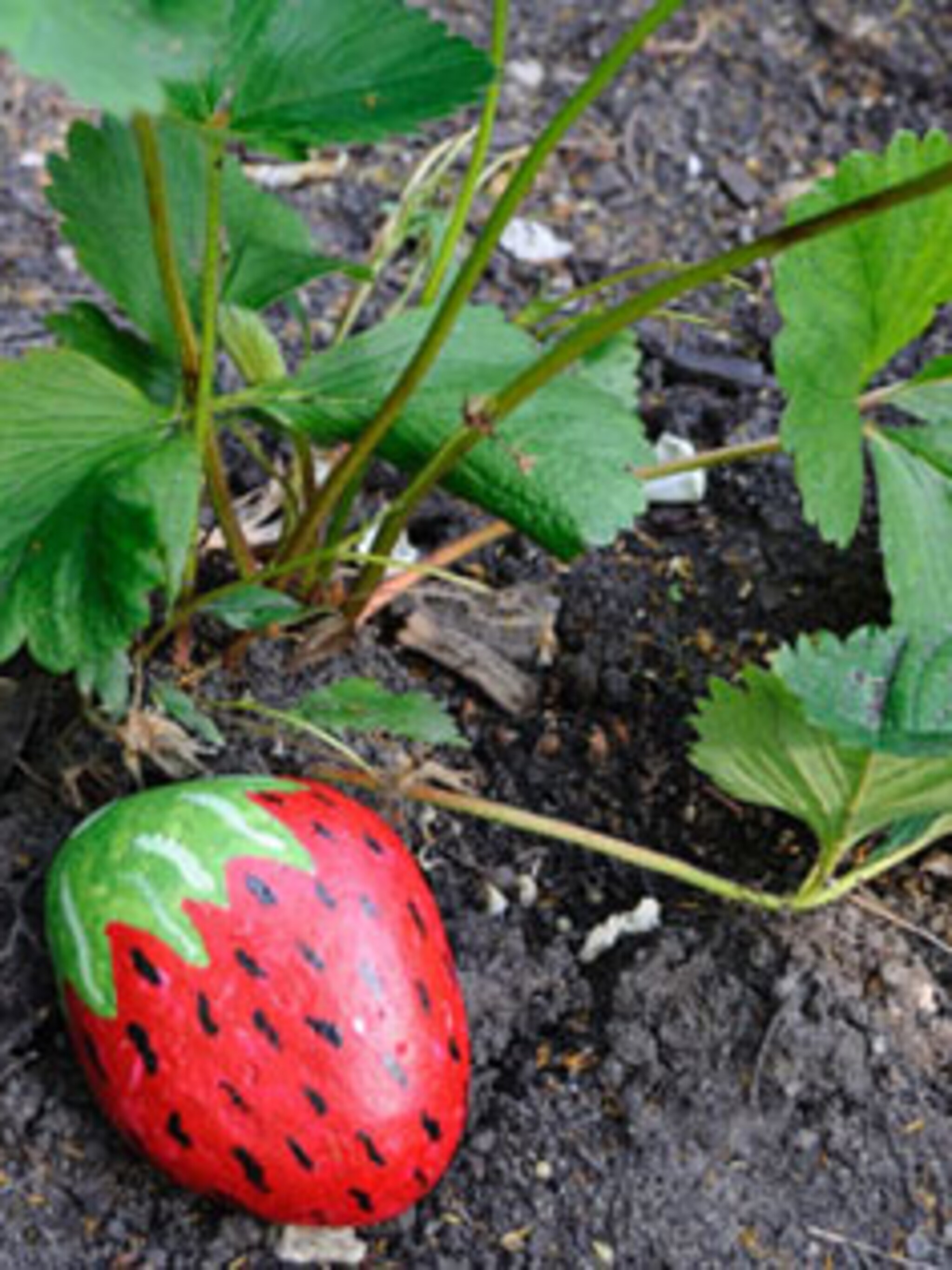 bescherm je aardbeien
