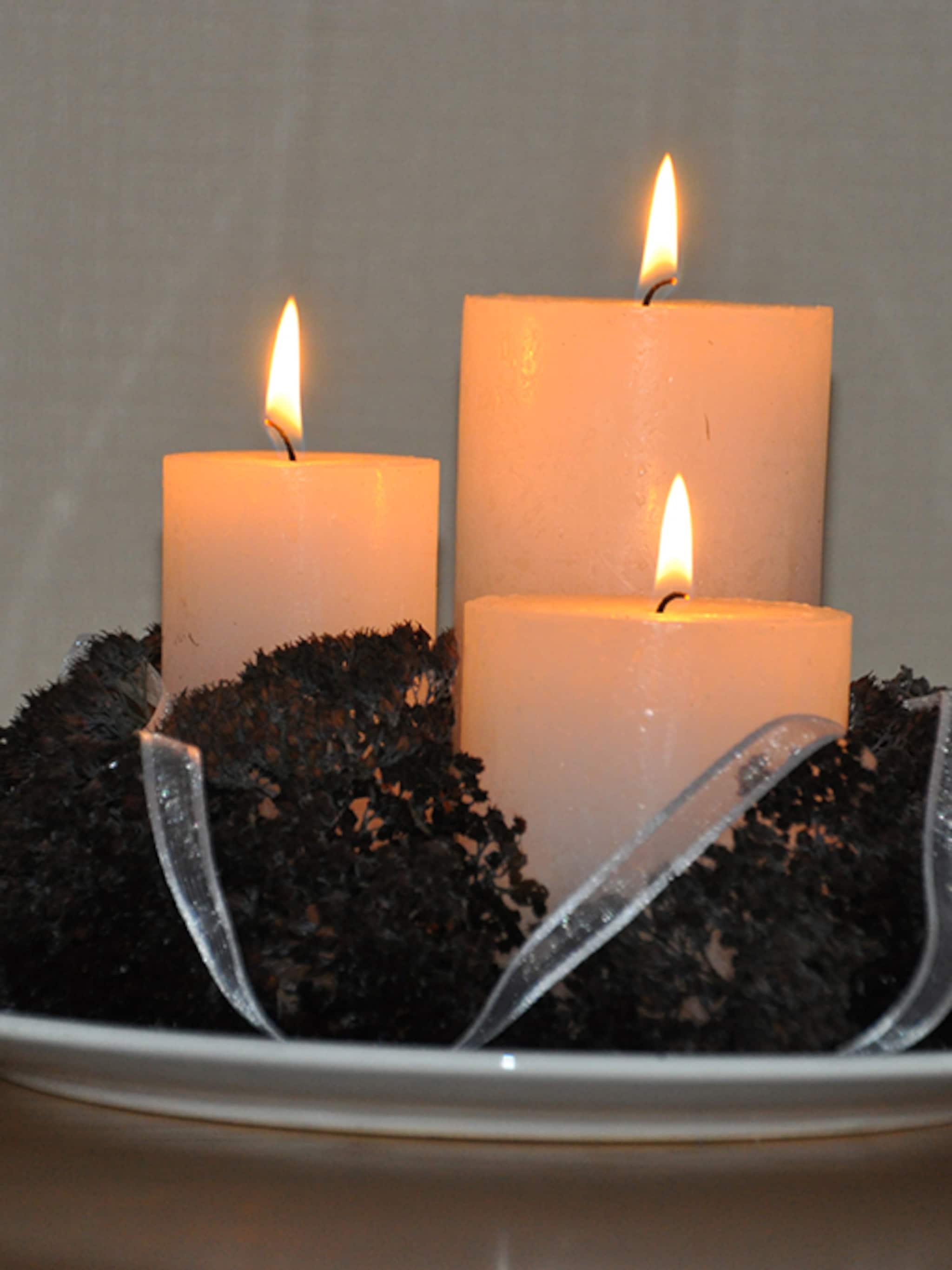 lichtpuntje sedum