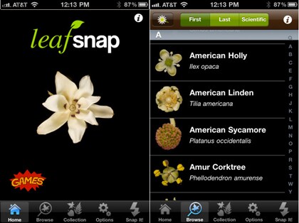 leaf snap app