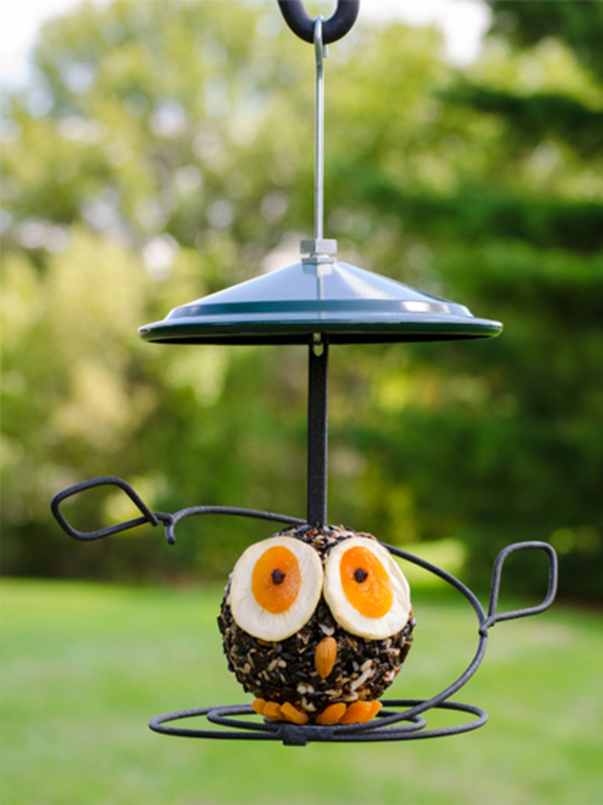 een uil voor de vogels