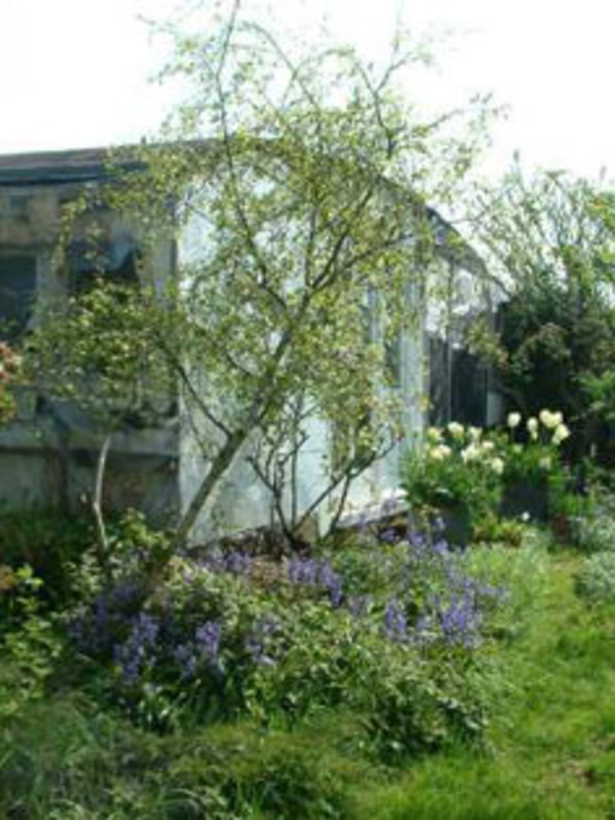 cottagetuin nieuwe stijl