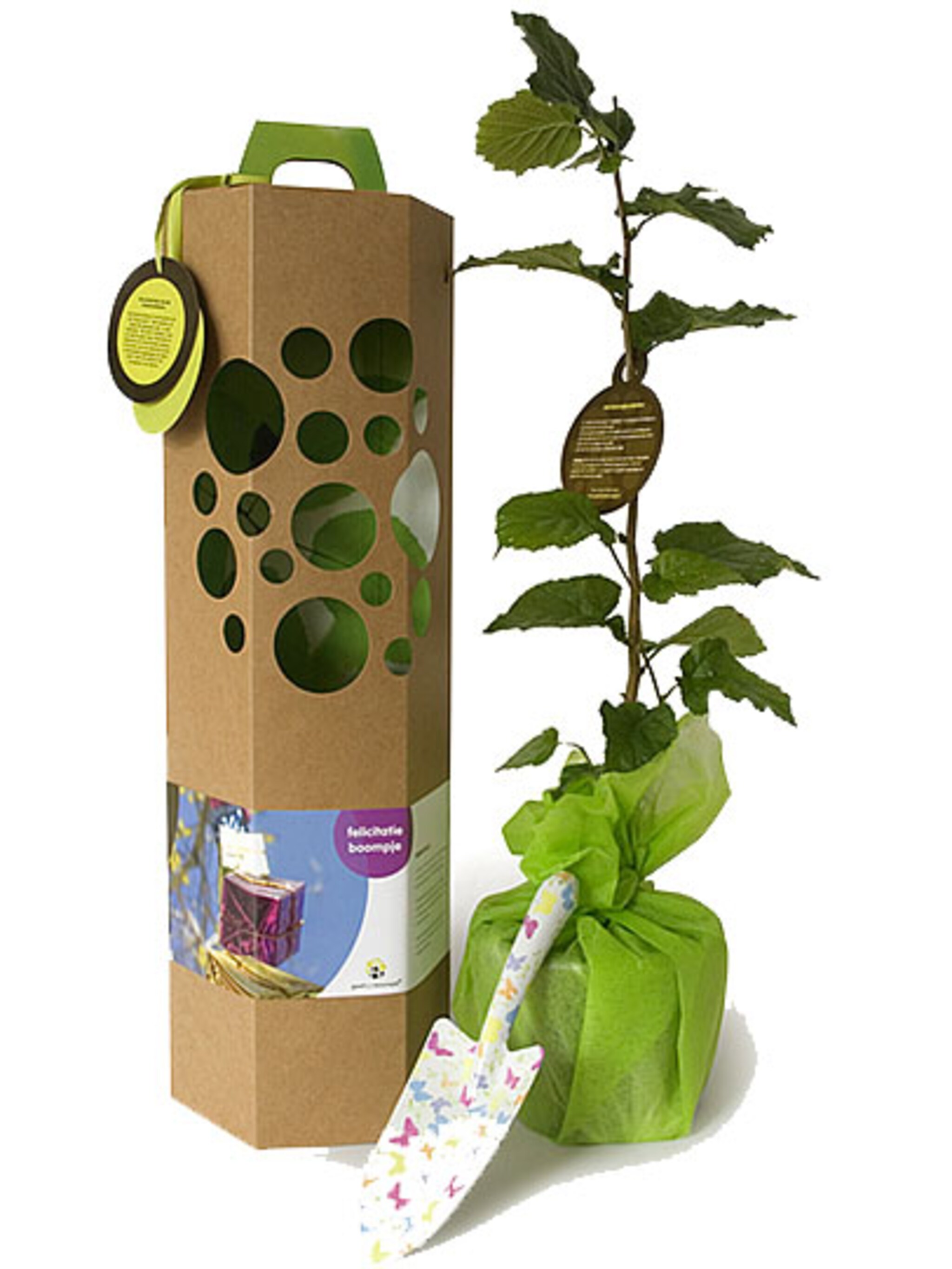 boompje cadeau