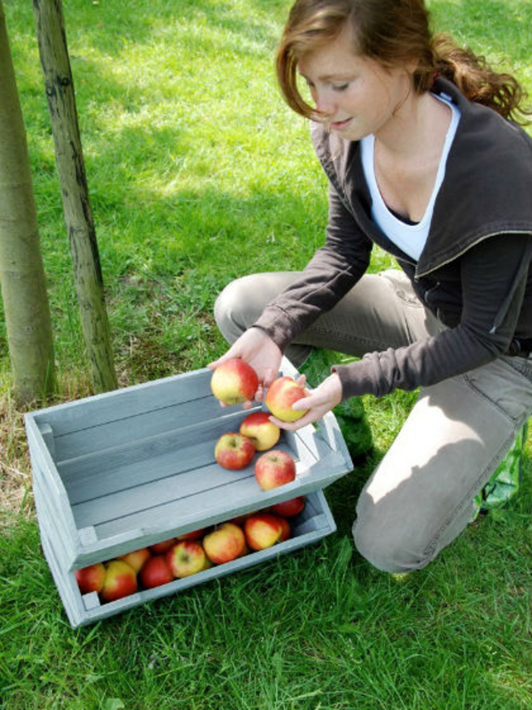 appelpluk