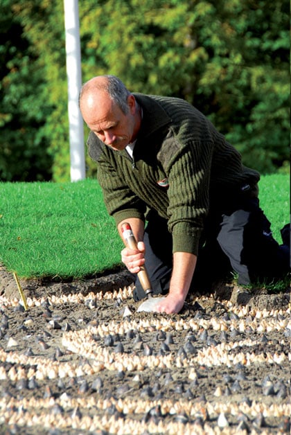 Bollen planten Keukenhof