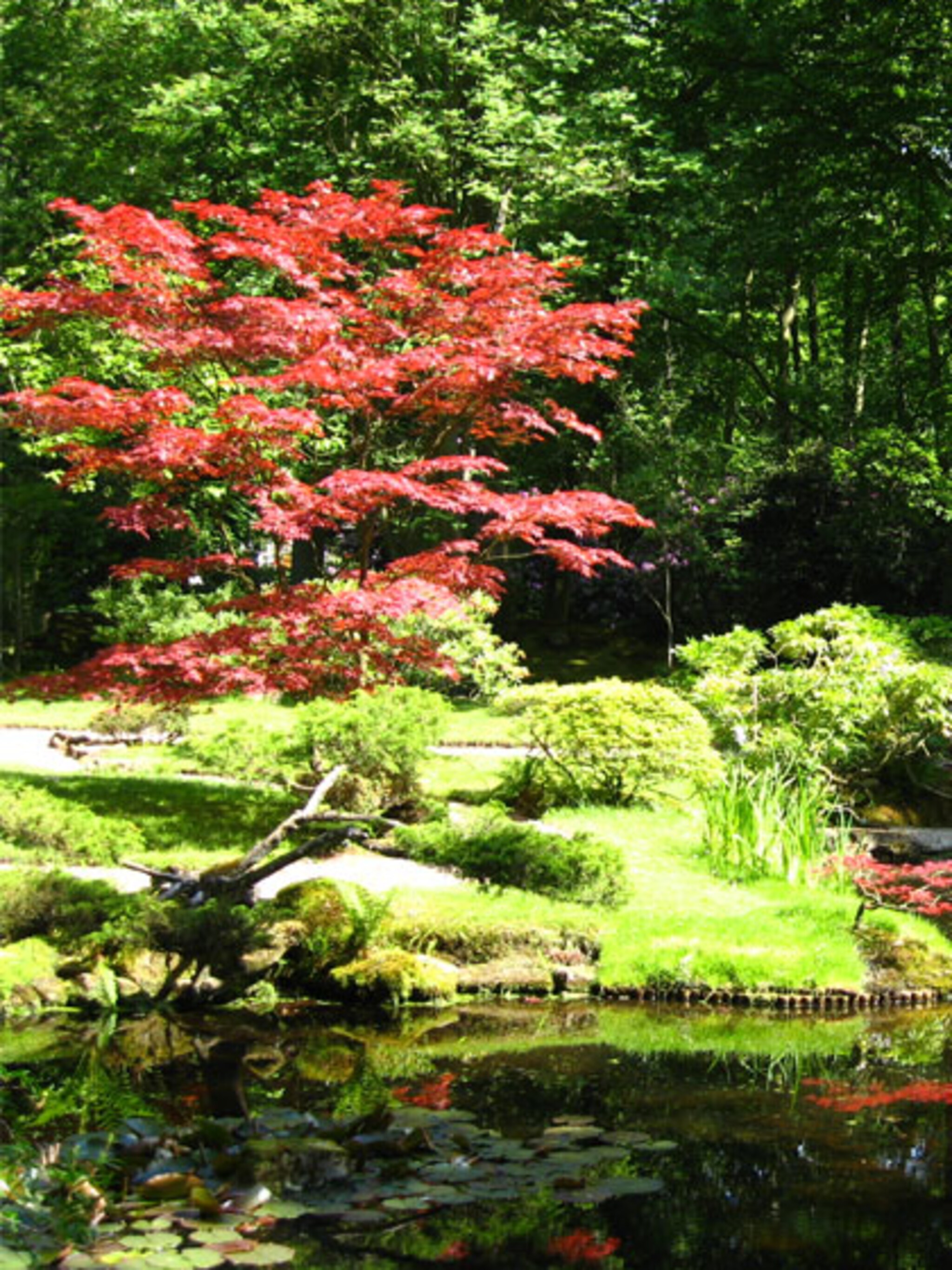 japanse bezoektuin