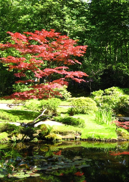 Japanse bezoektuin
