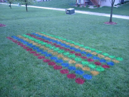 Twister gazon