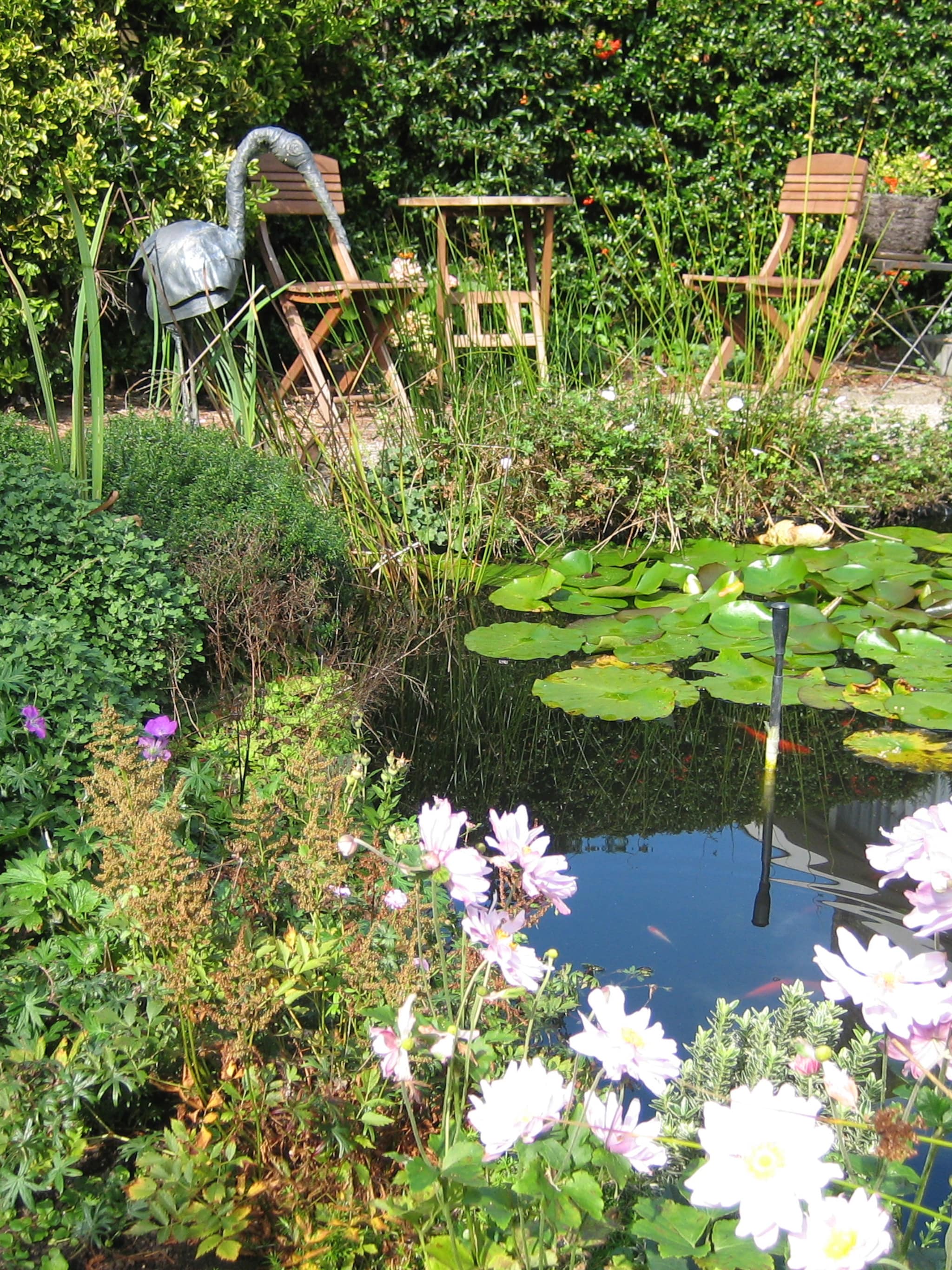 vijvertuin