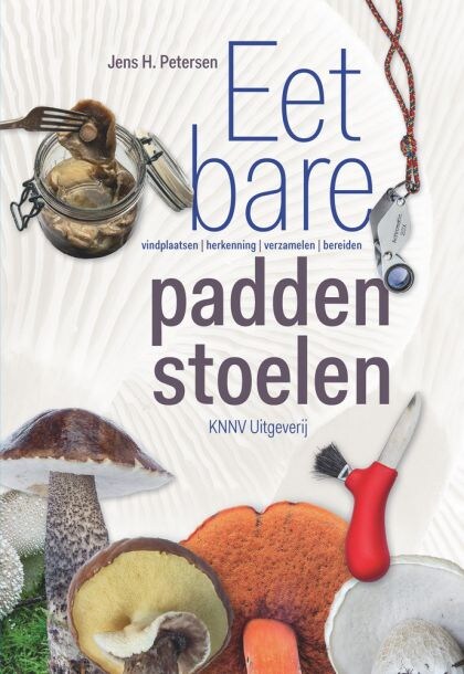 beeld vtwonen