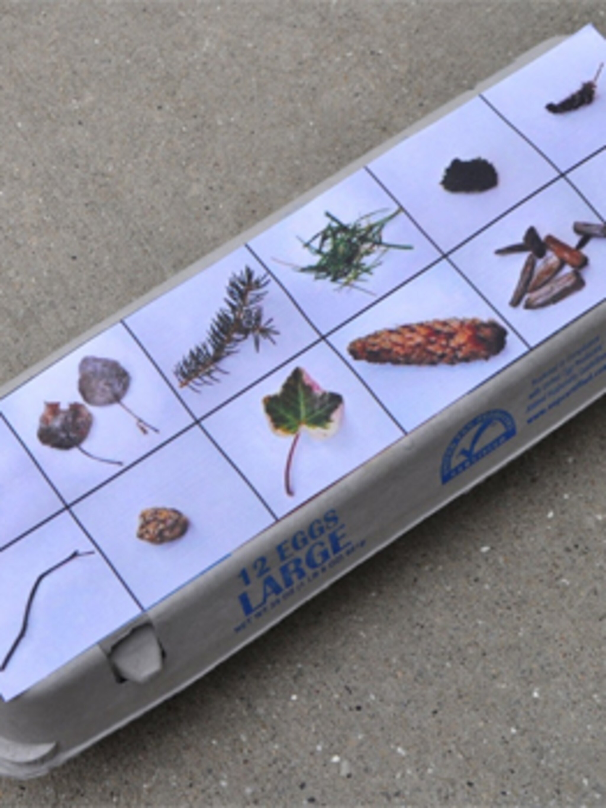 speuren naar planten