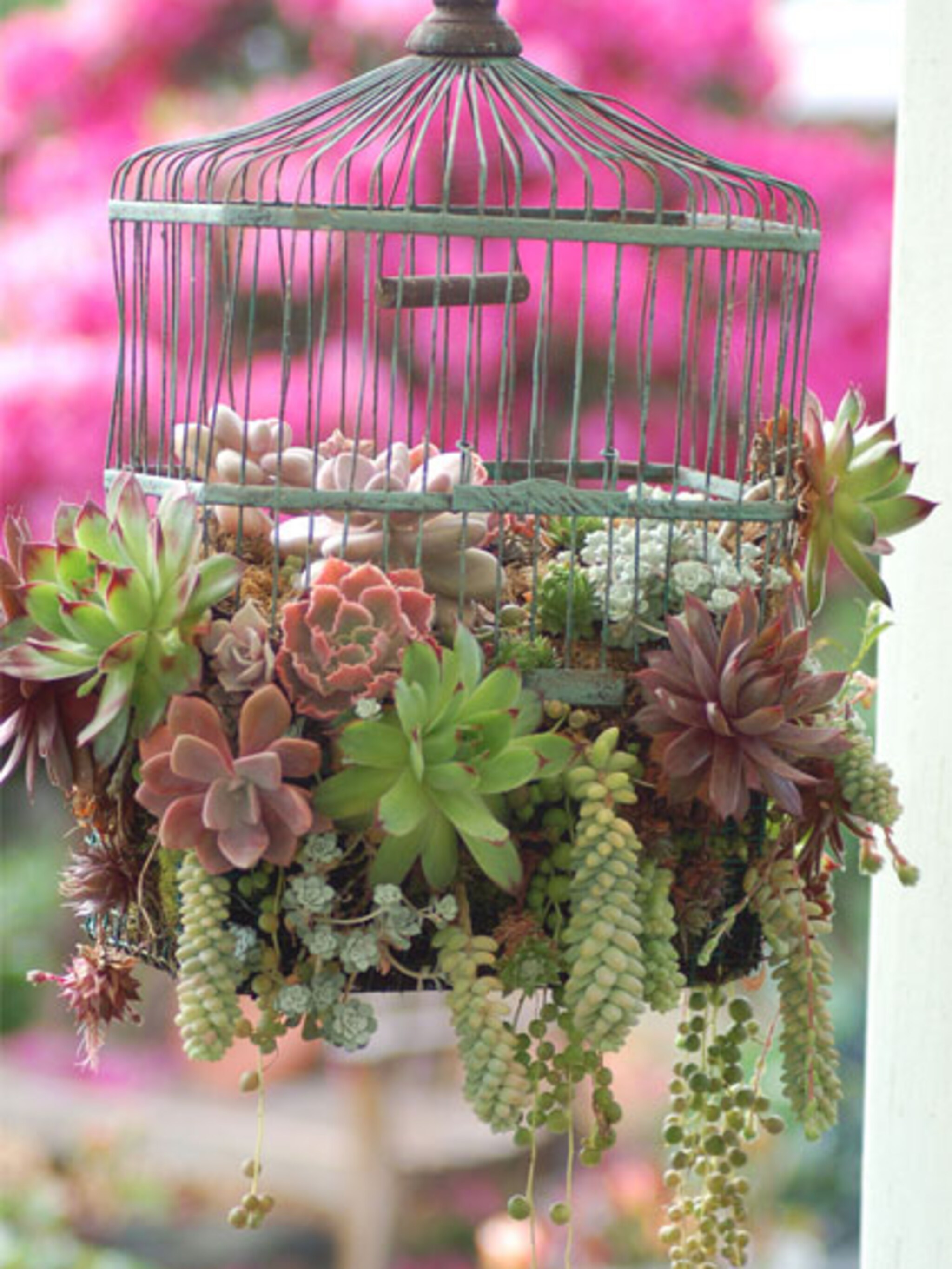 diy vogelkooi plantenbak