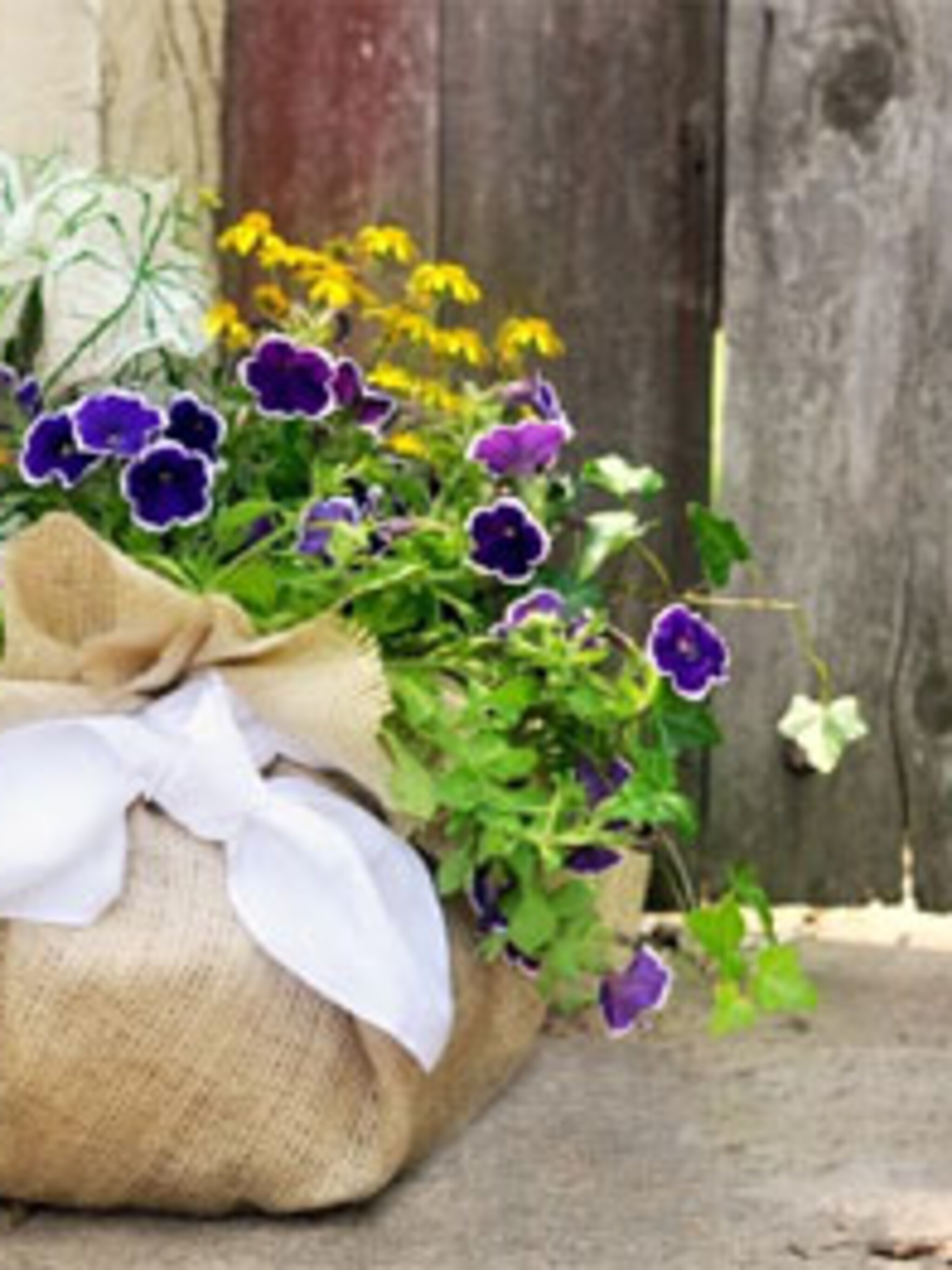 planten in een jute zak